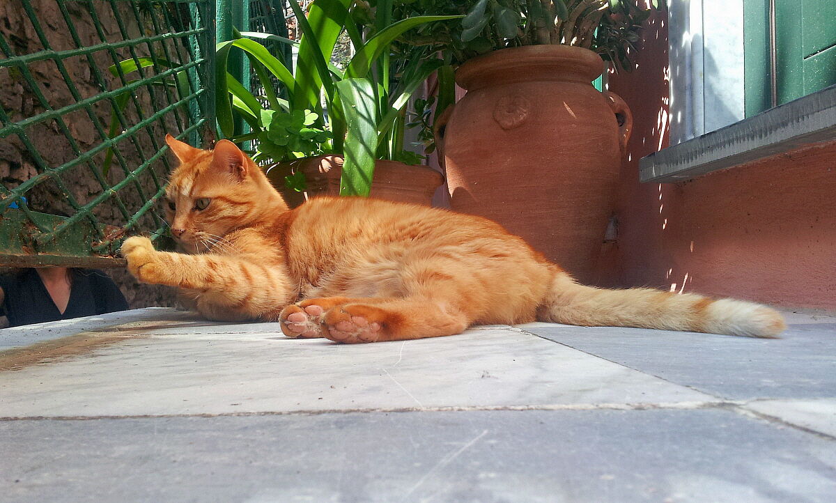 Su dai avvicina la manina!