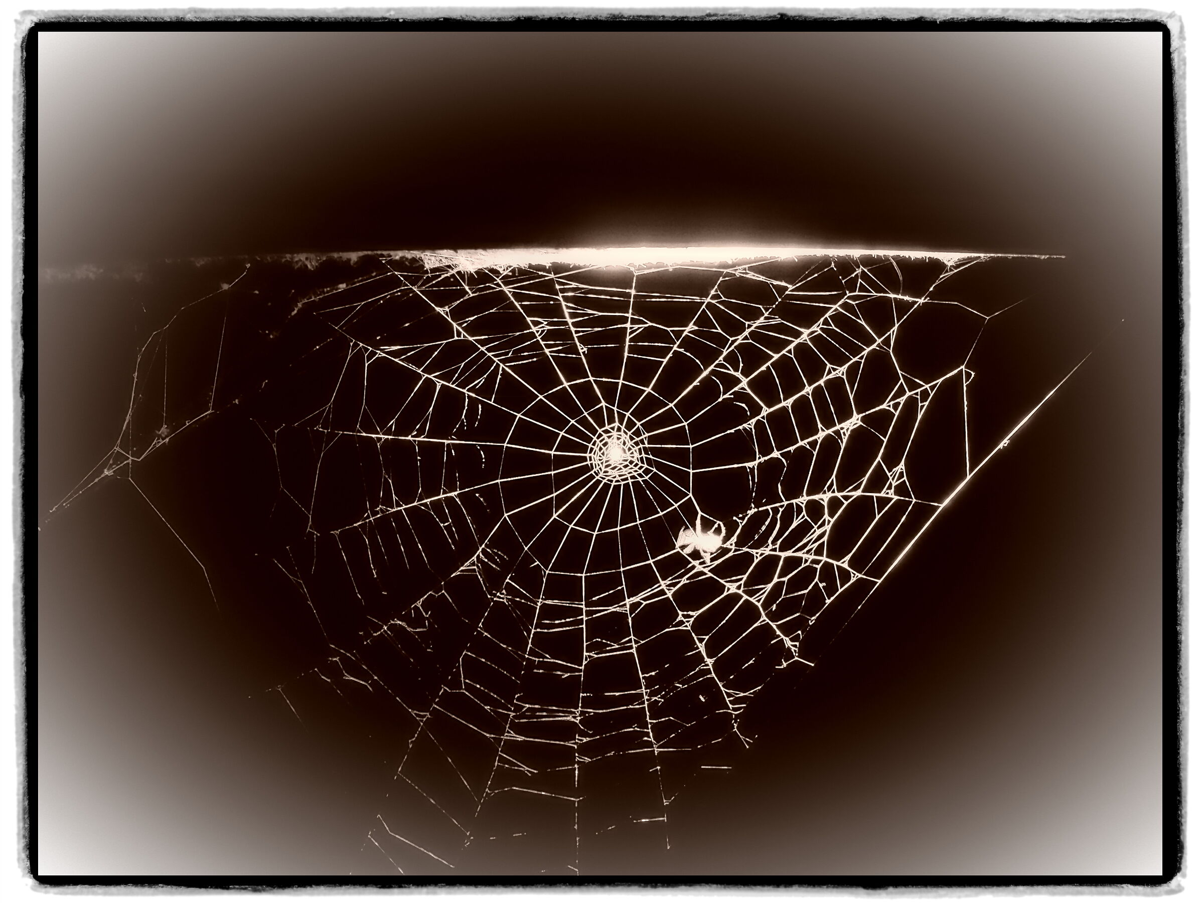 Il mio vicino di casa