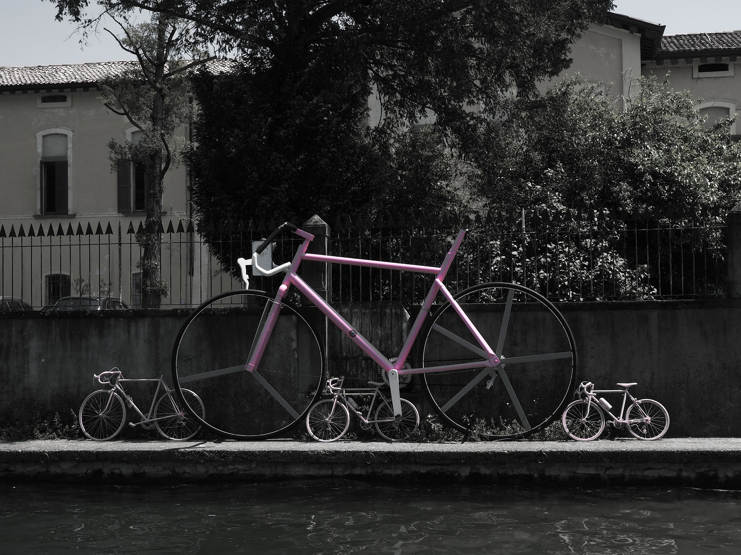 Mamma bicicletta e i suoi piccoli