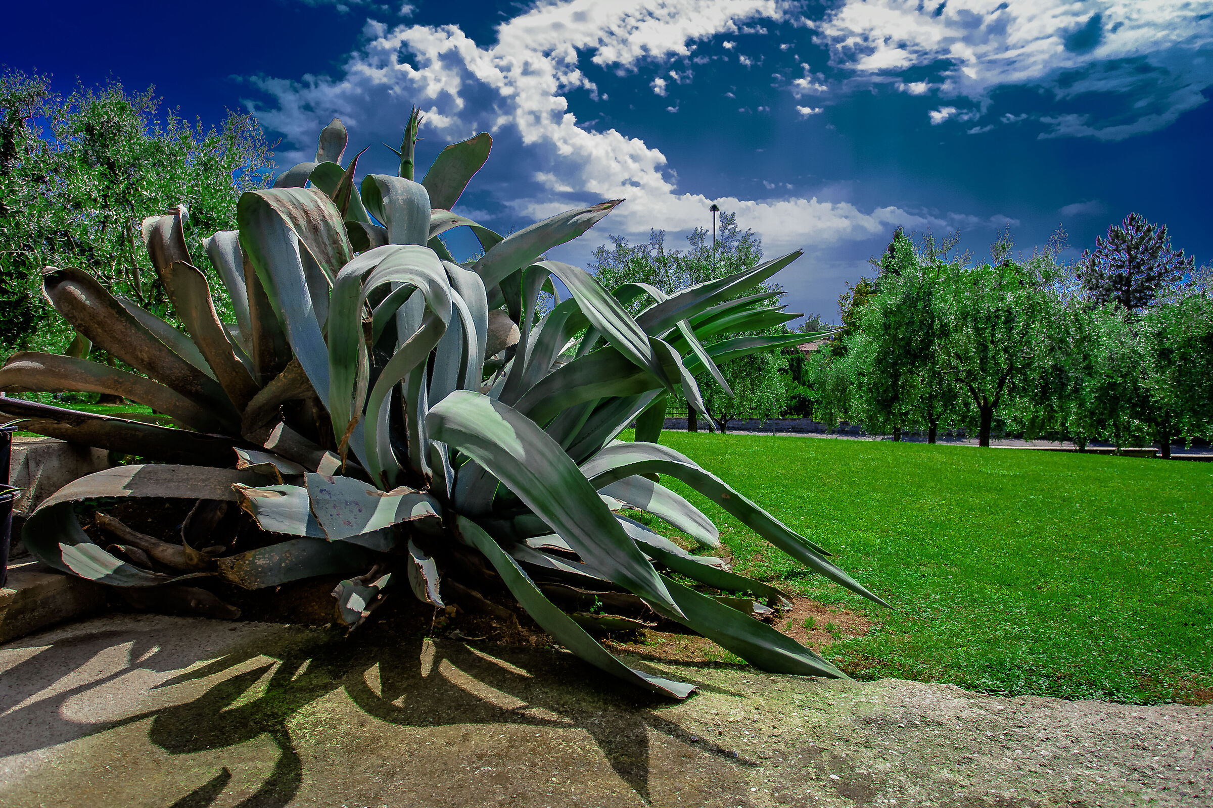 The grass of the neighbor is always greener