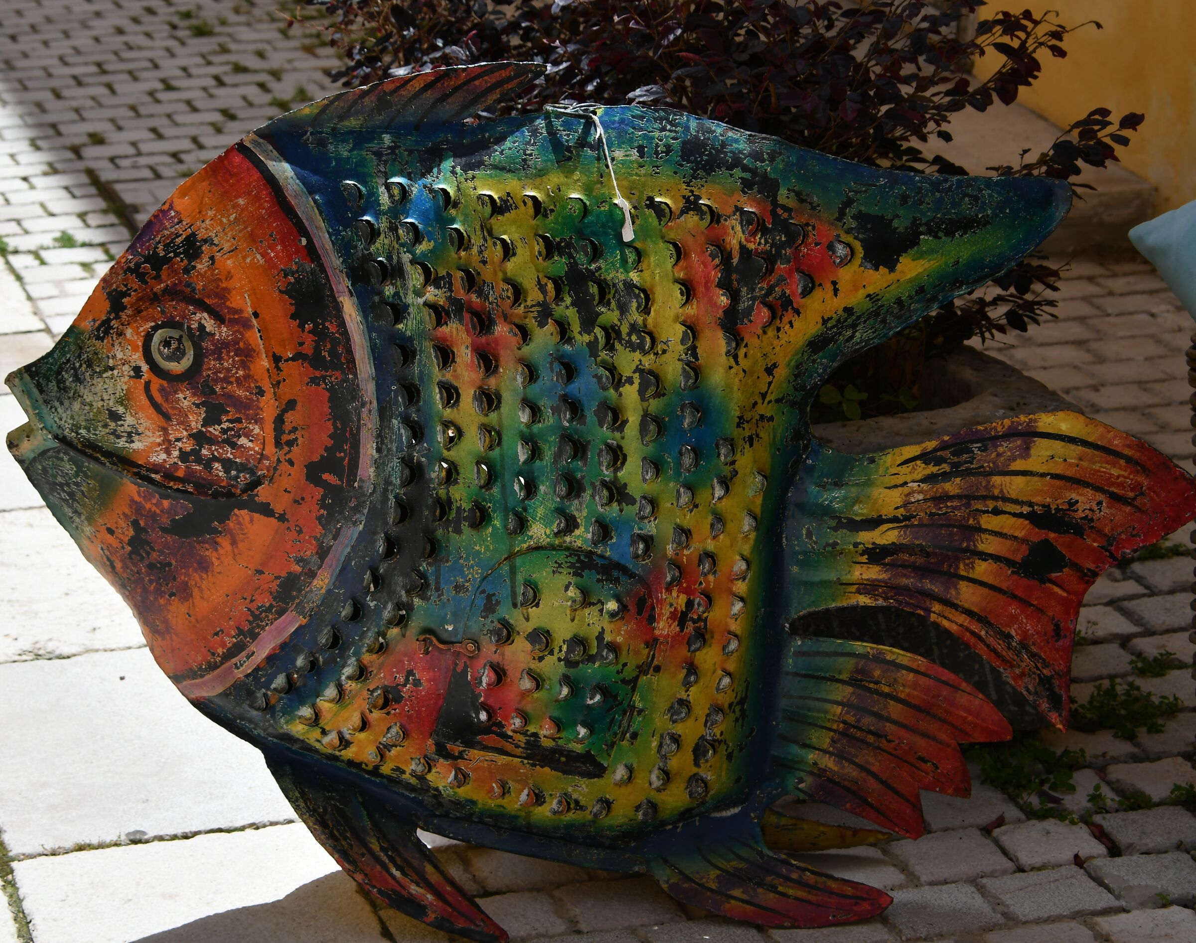 In vetrina............