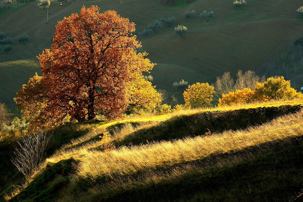 Inverno, ultimi raggi della giornata.