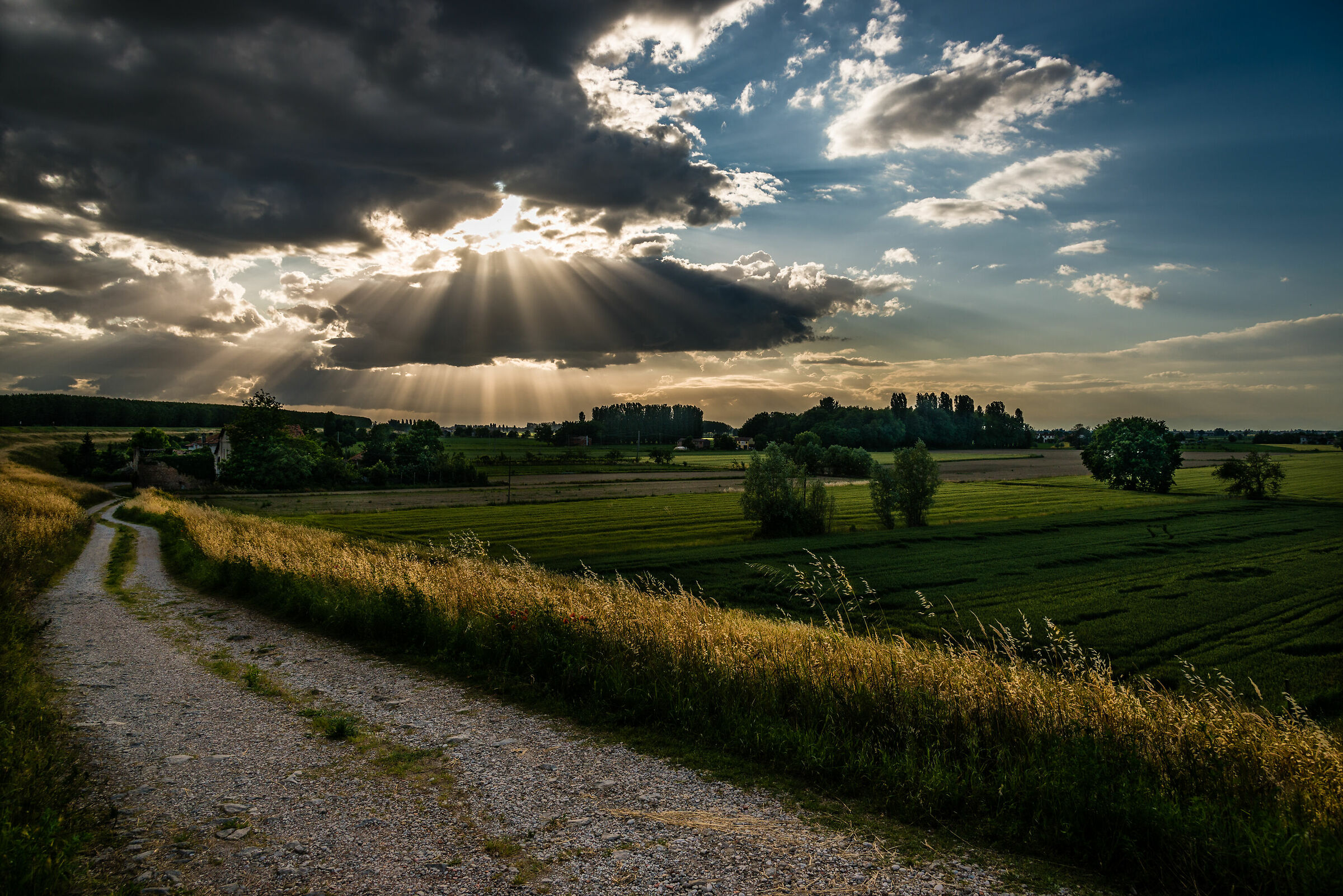 Coming down from the Bank of the Po