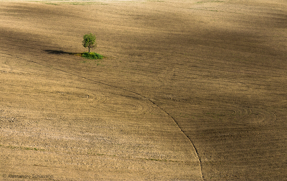 The Guardian of the Valley