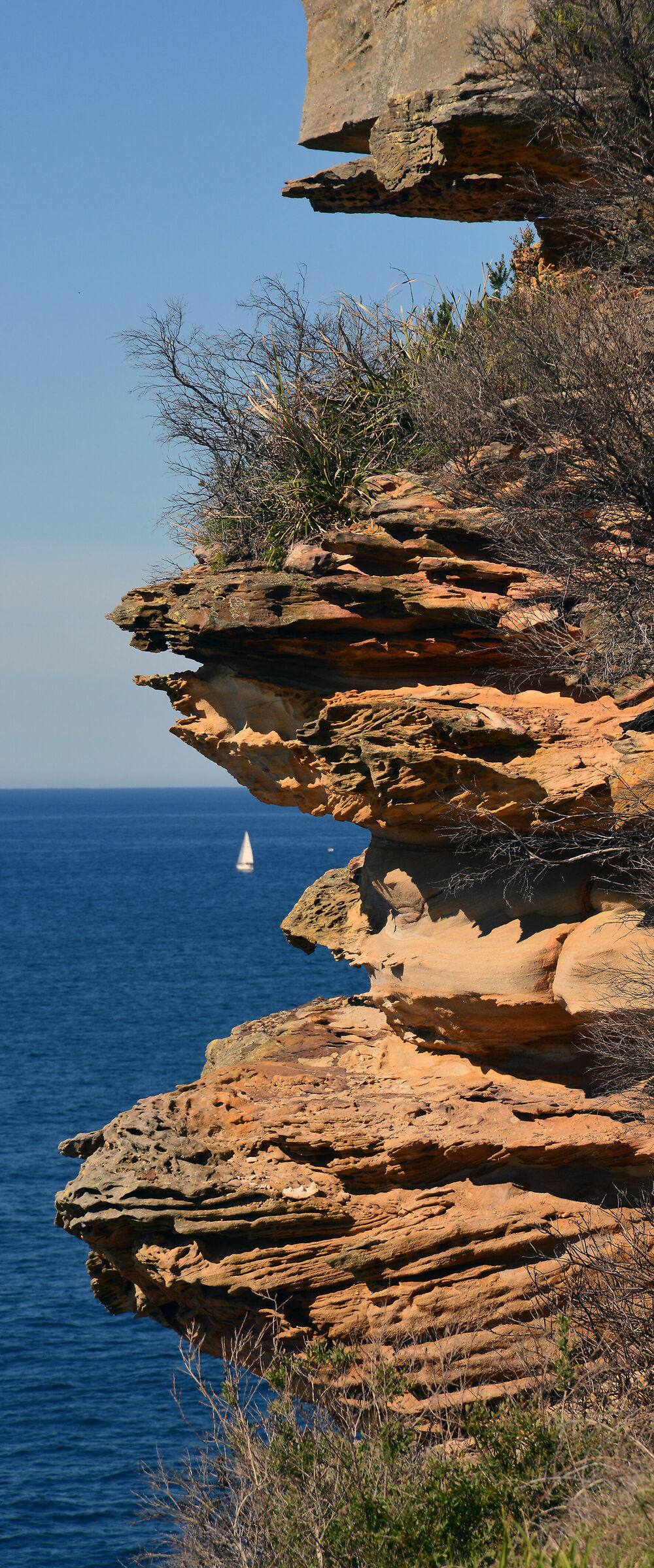 The Sea of TASMANIA2