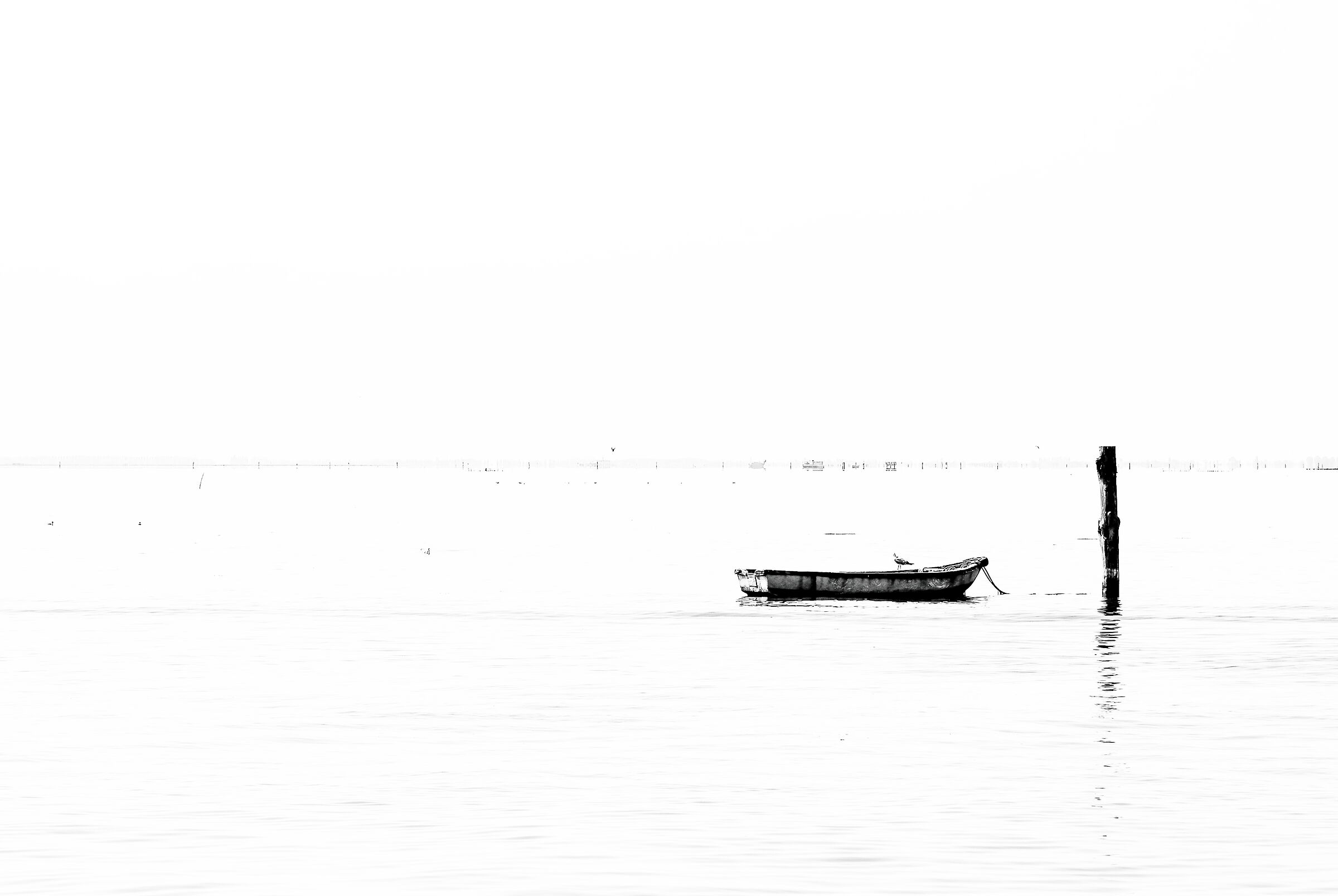 Minimal in Pellestrina.