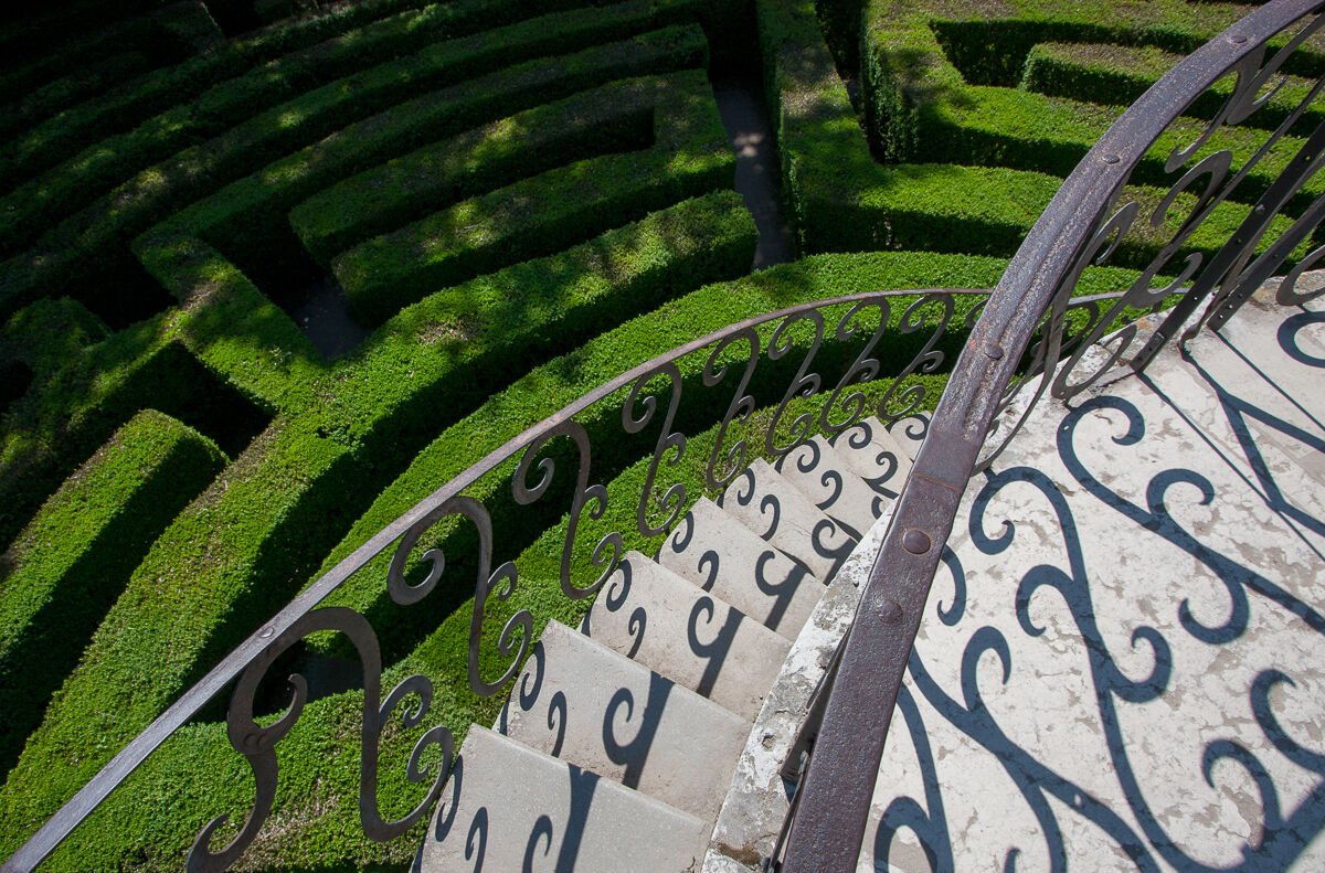 La metafora della vita ...