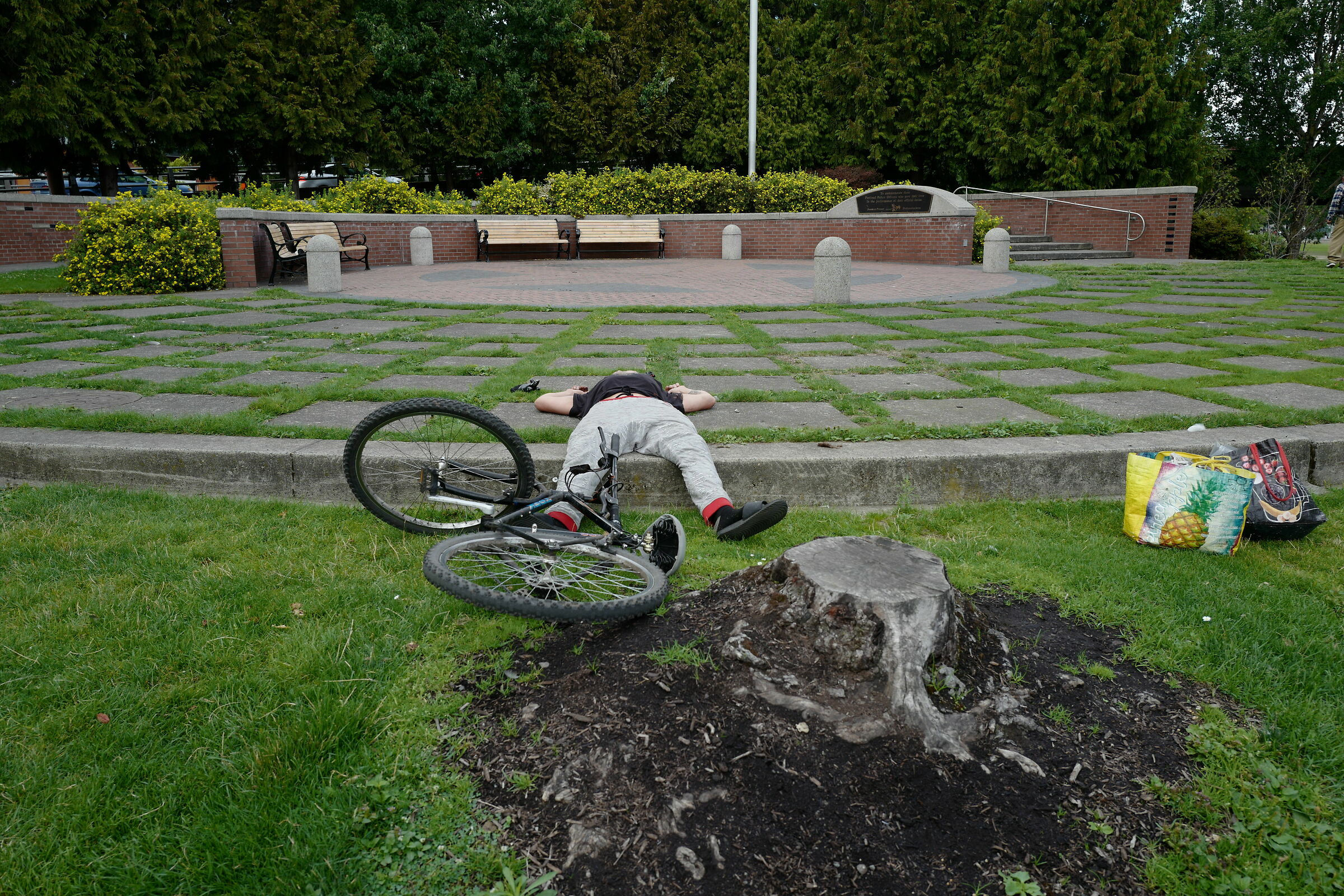 I didn't really see him...