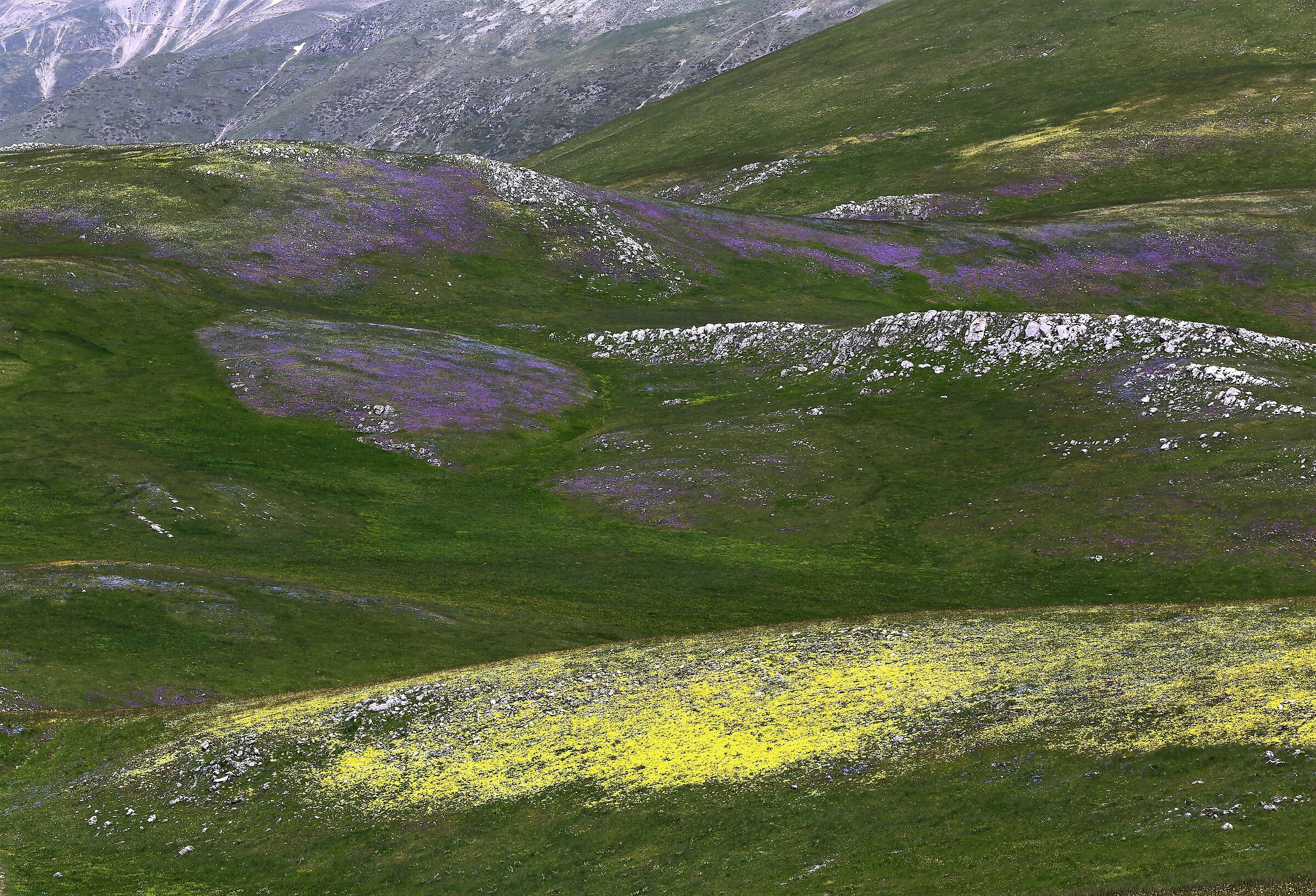 Campo Imperatore