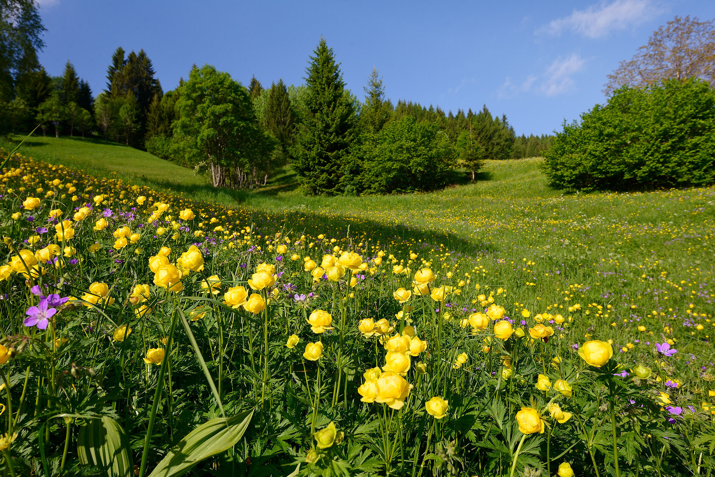 Meadows of Mount Tremalzo