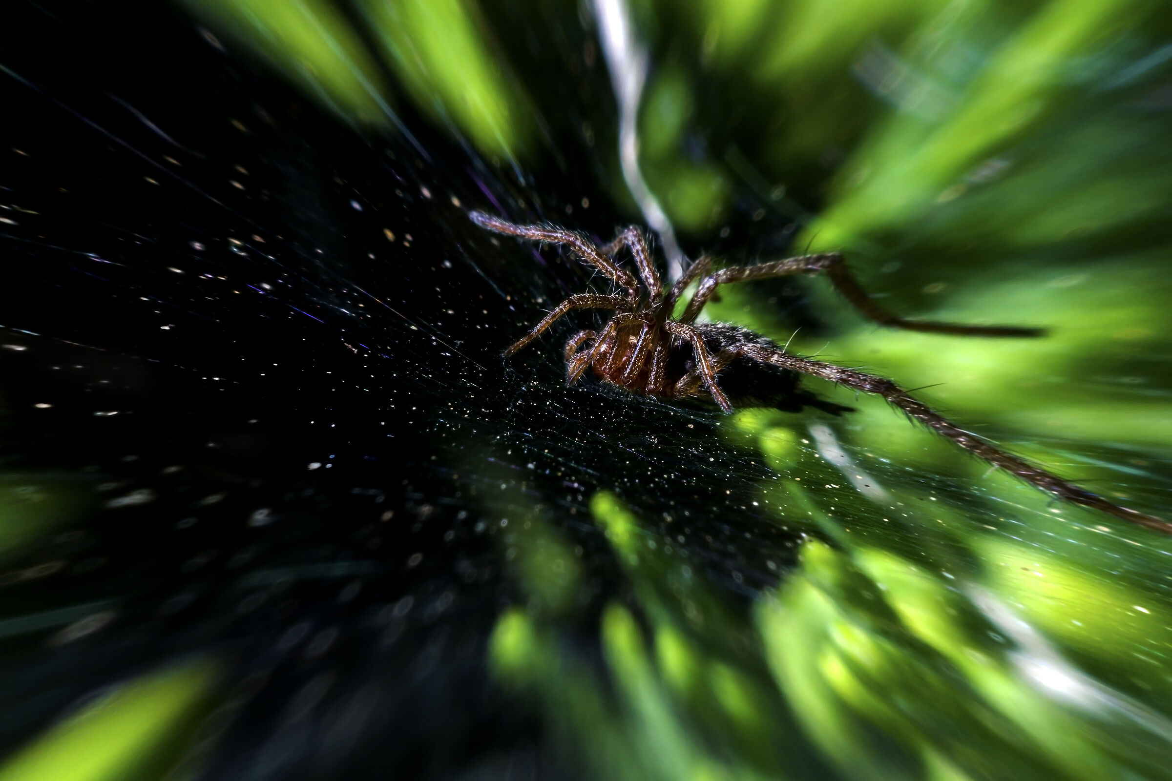 Attack!!