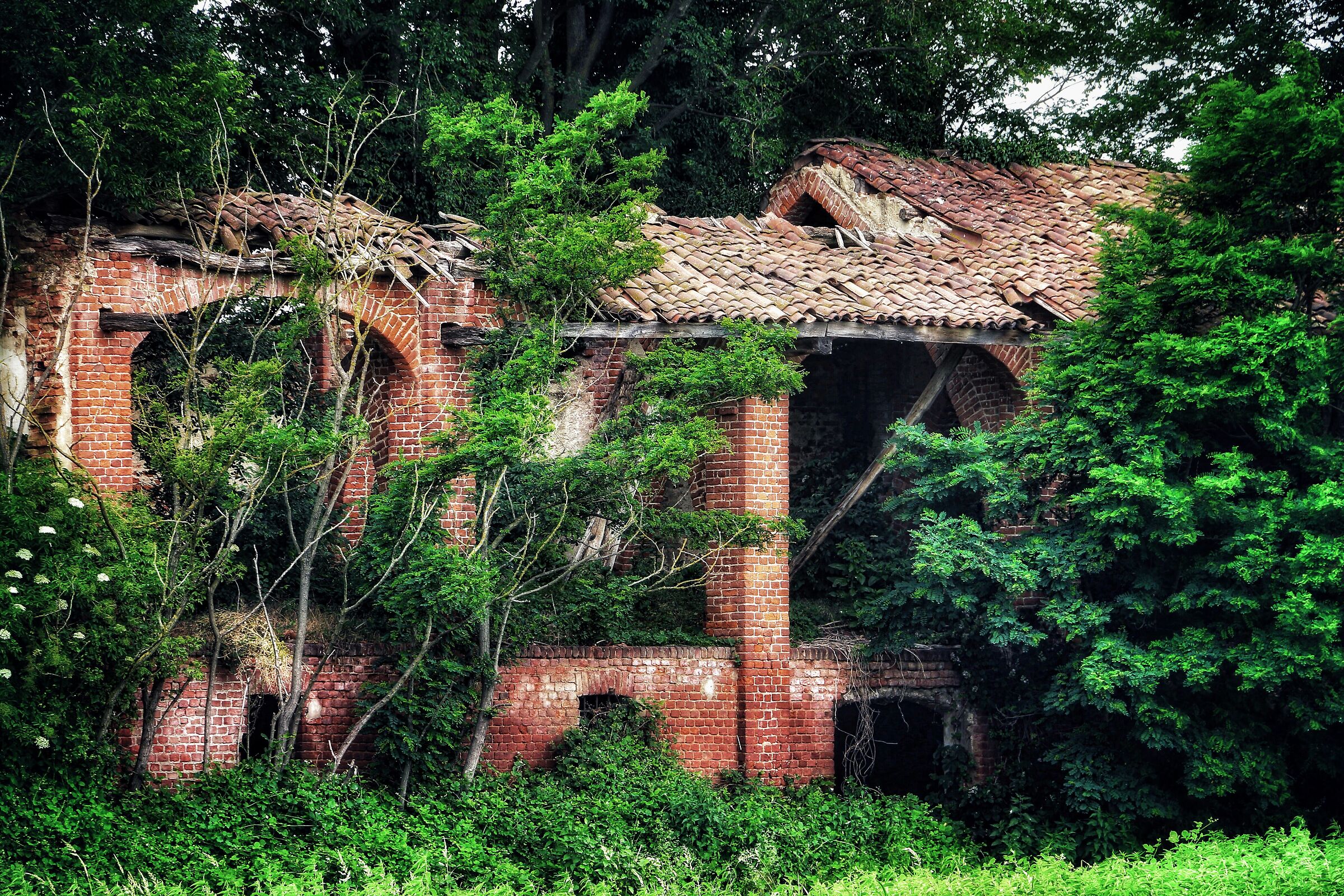 Il sopravvento della natura.