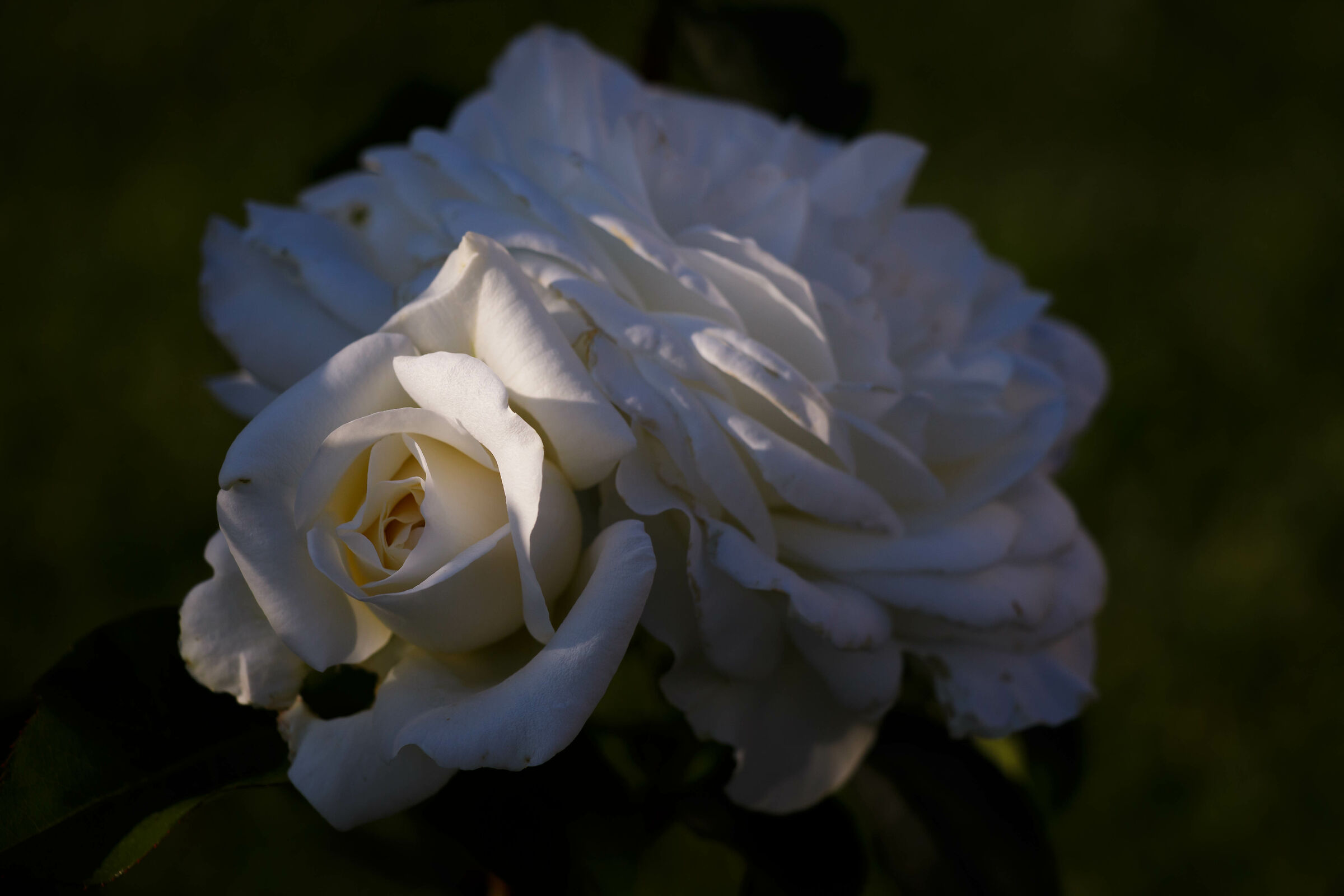 Ultimo raggio di sole