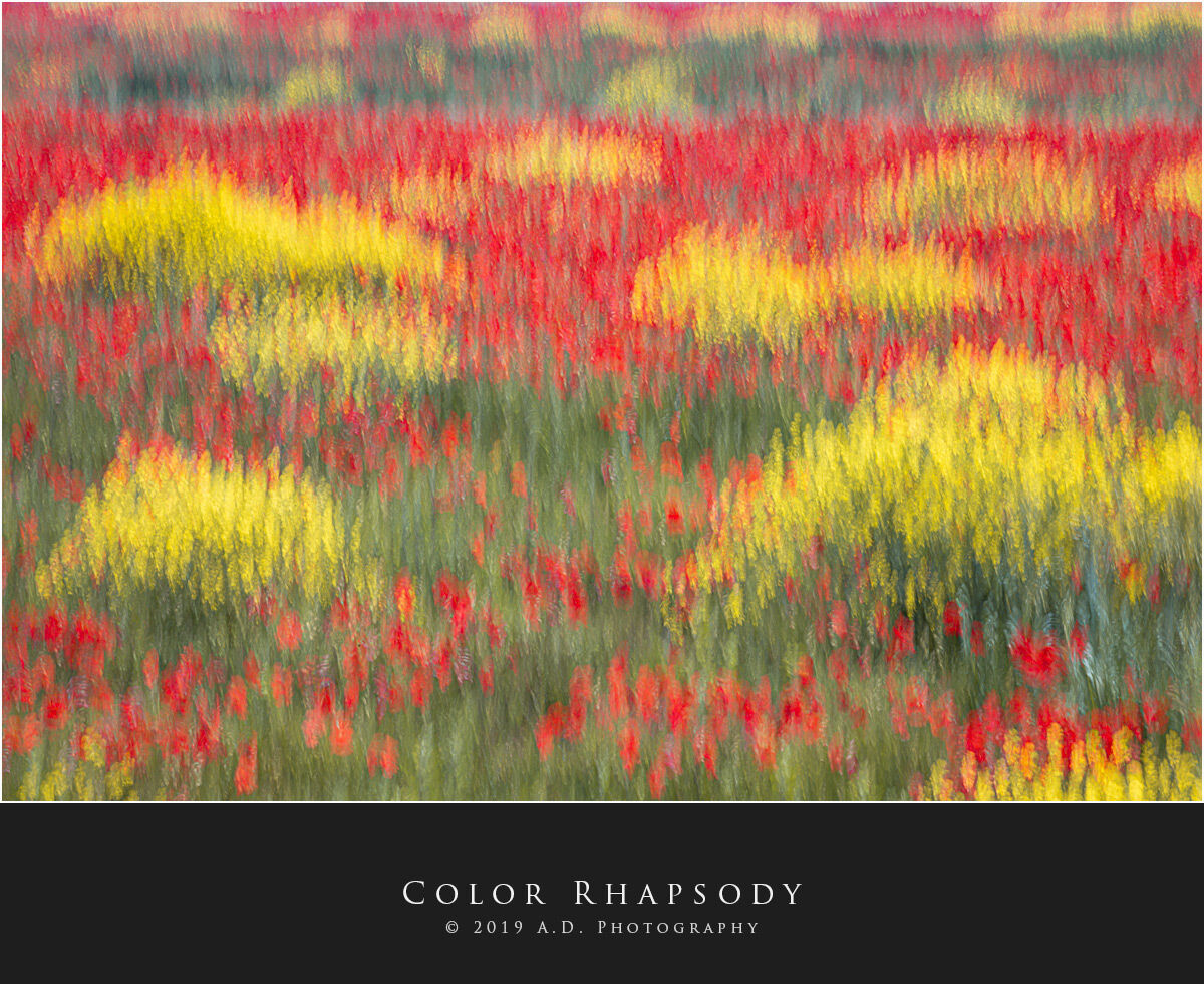 Color Rhapsody