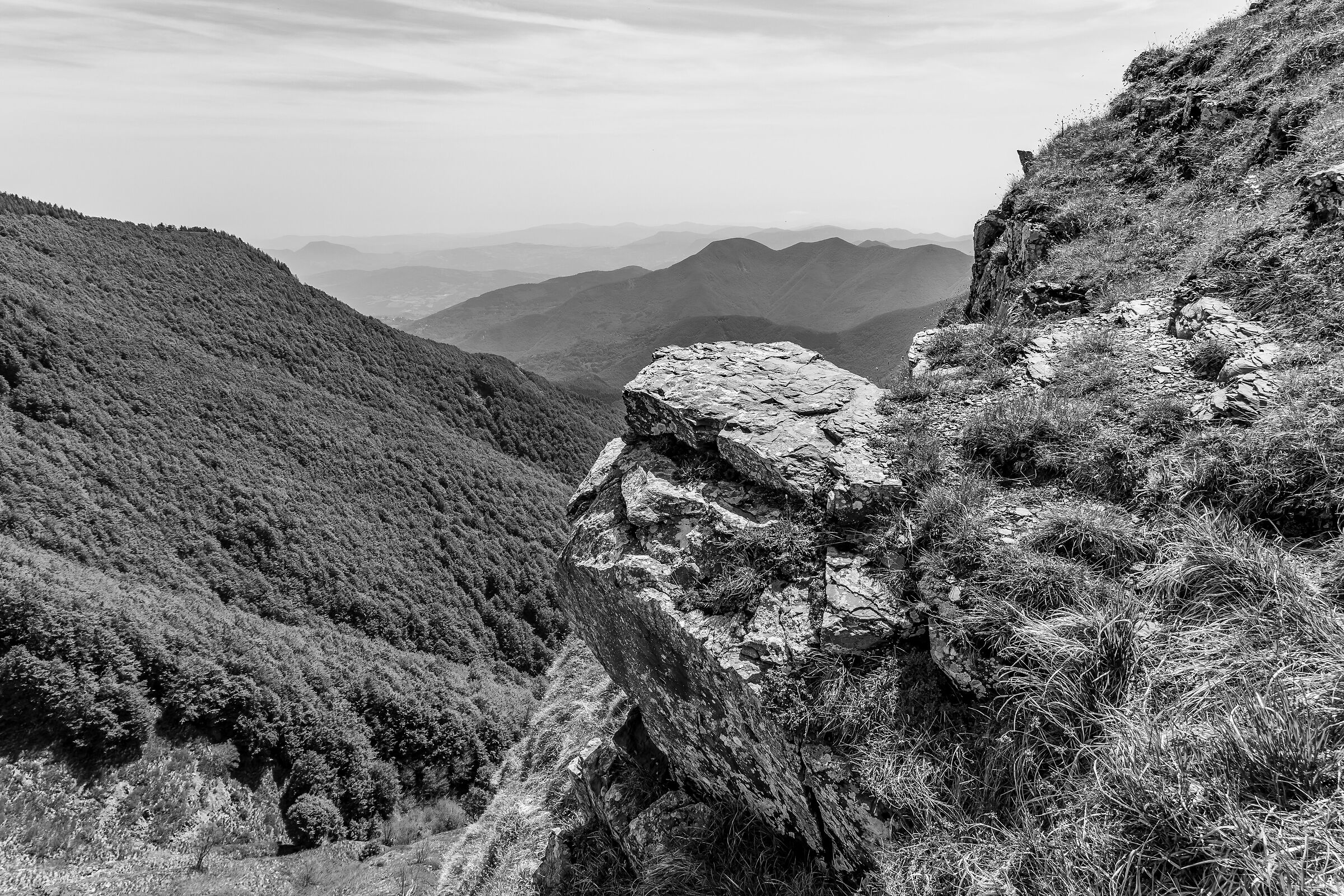 Horn at the stairs-June 2019
