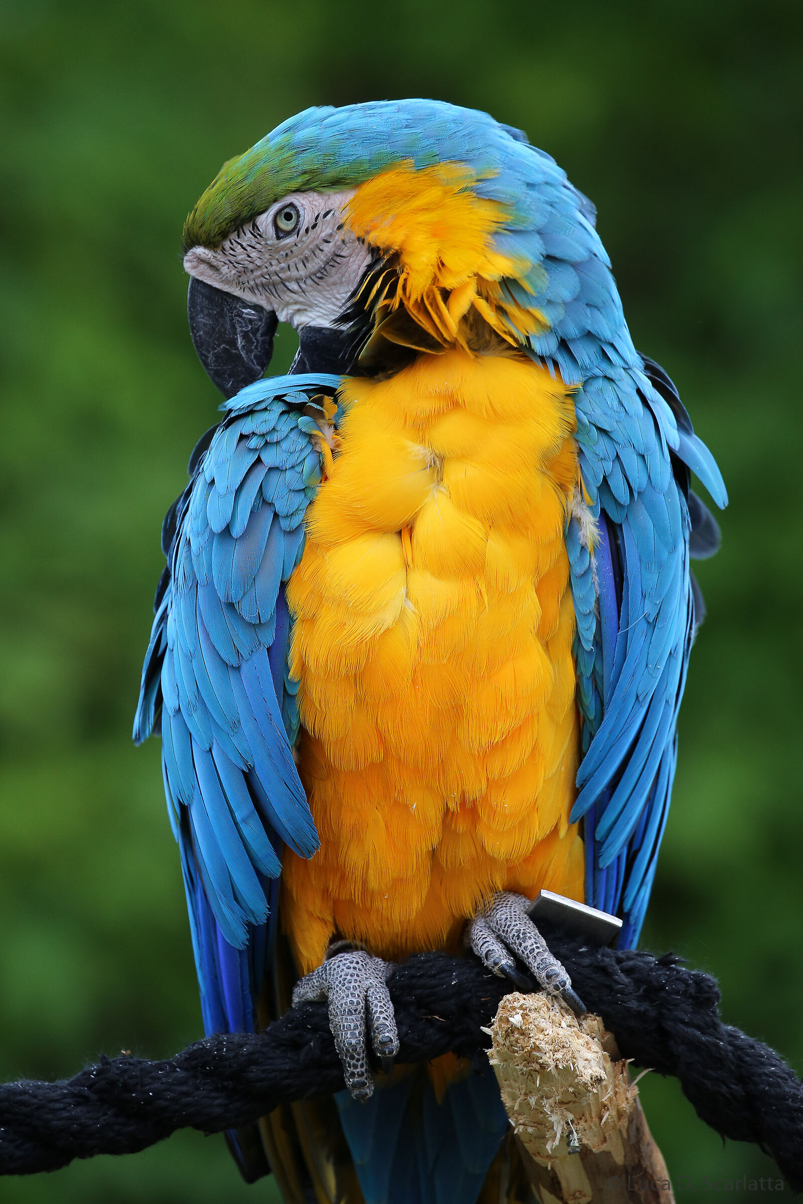 Unpretentious shot to sympathetic subject.