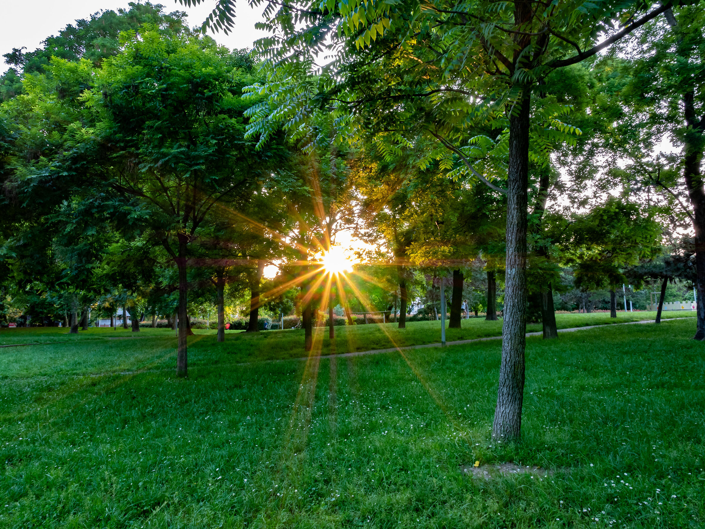 Tramonto al parco