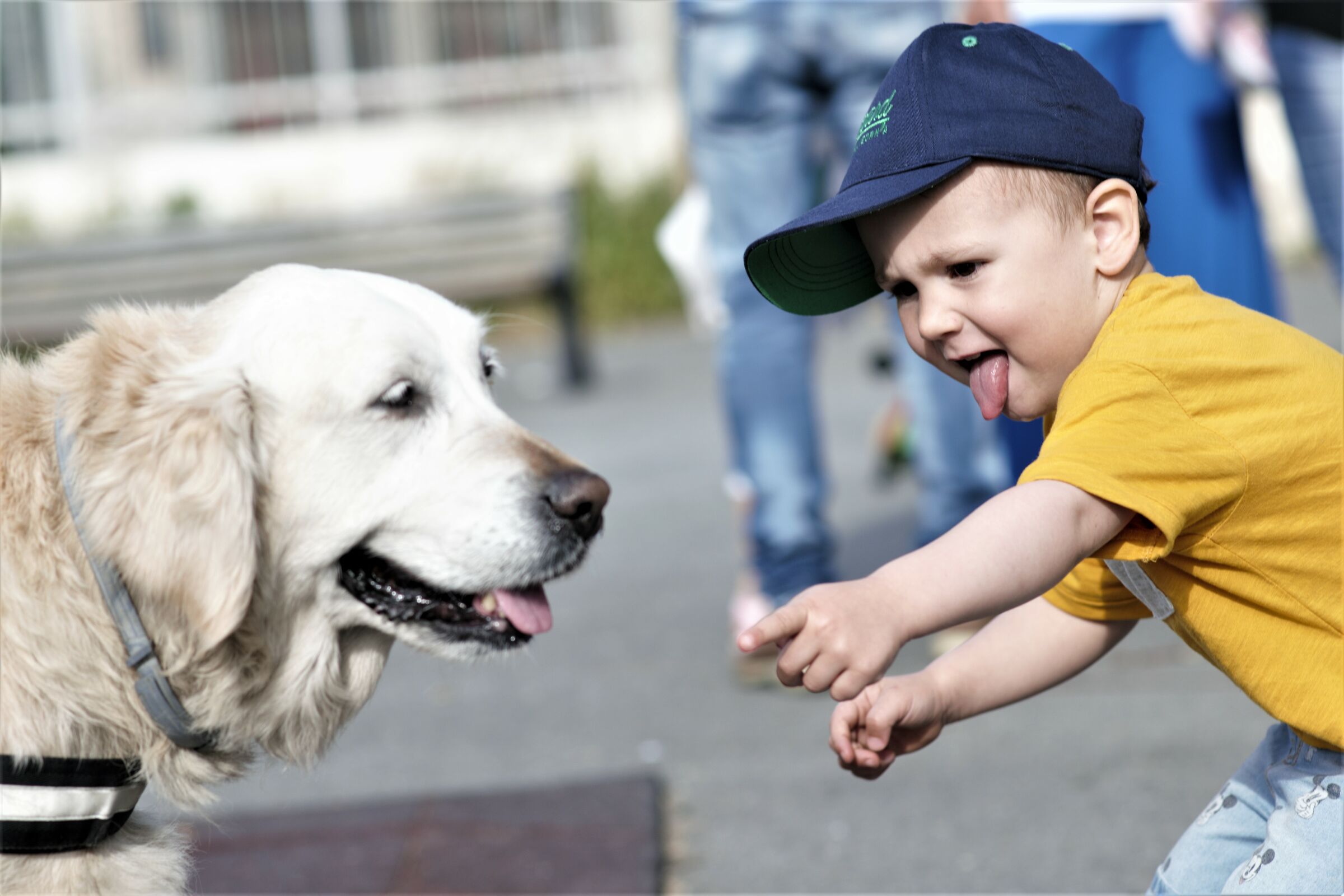 ...anche tu hai la lingua !