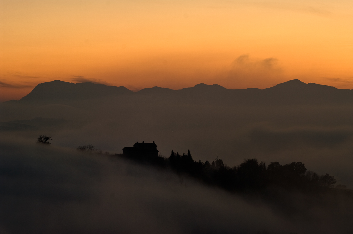 Towards the Sibylline