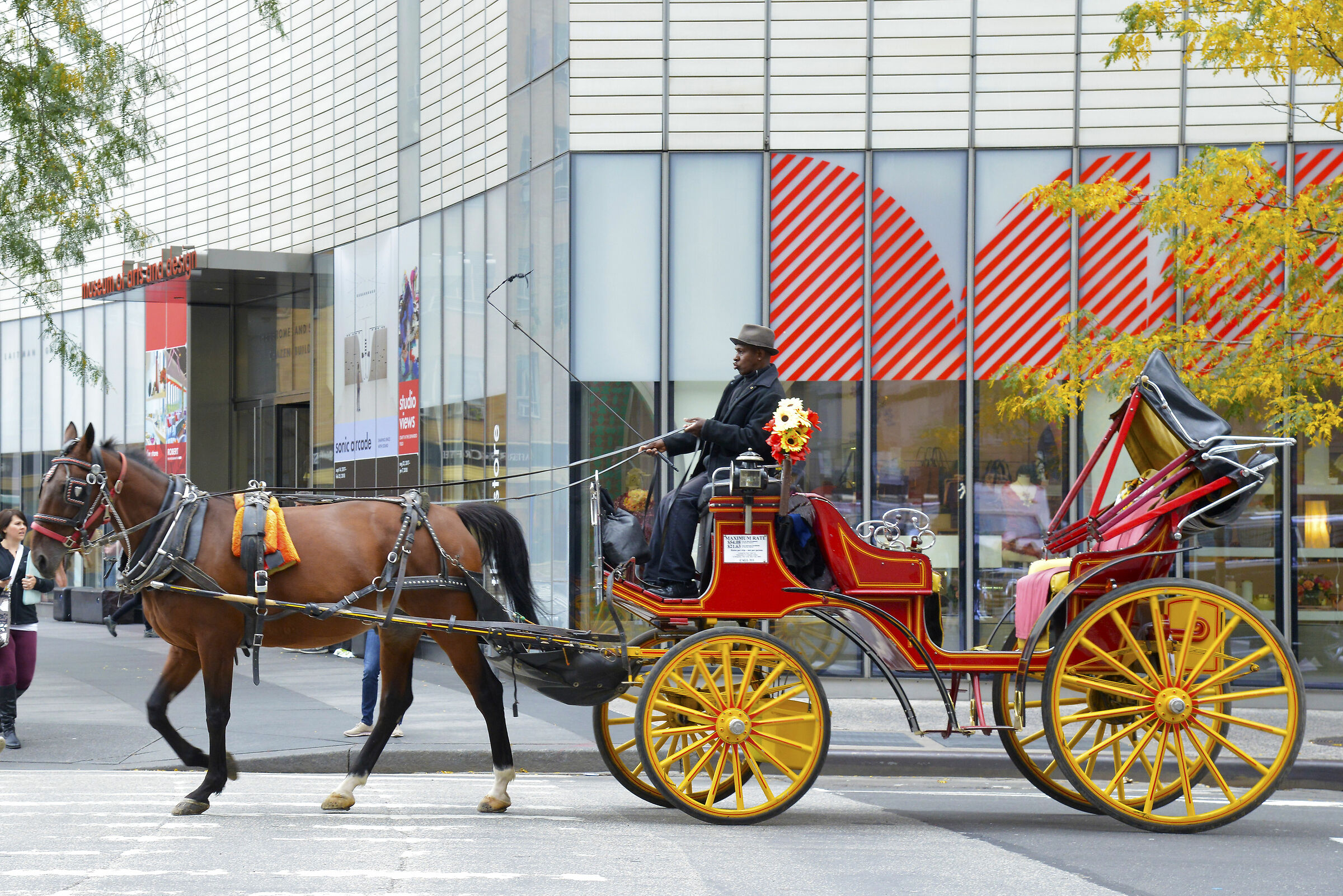Carriage in New York