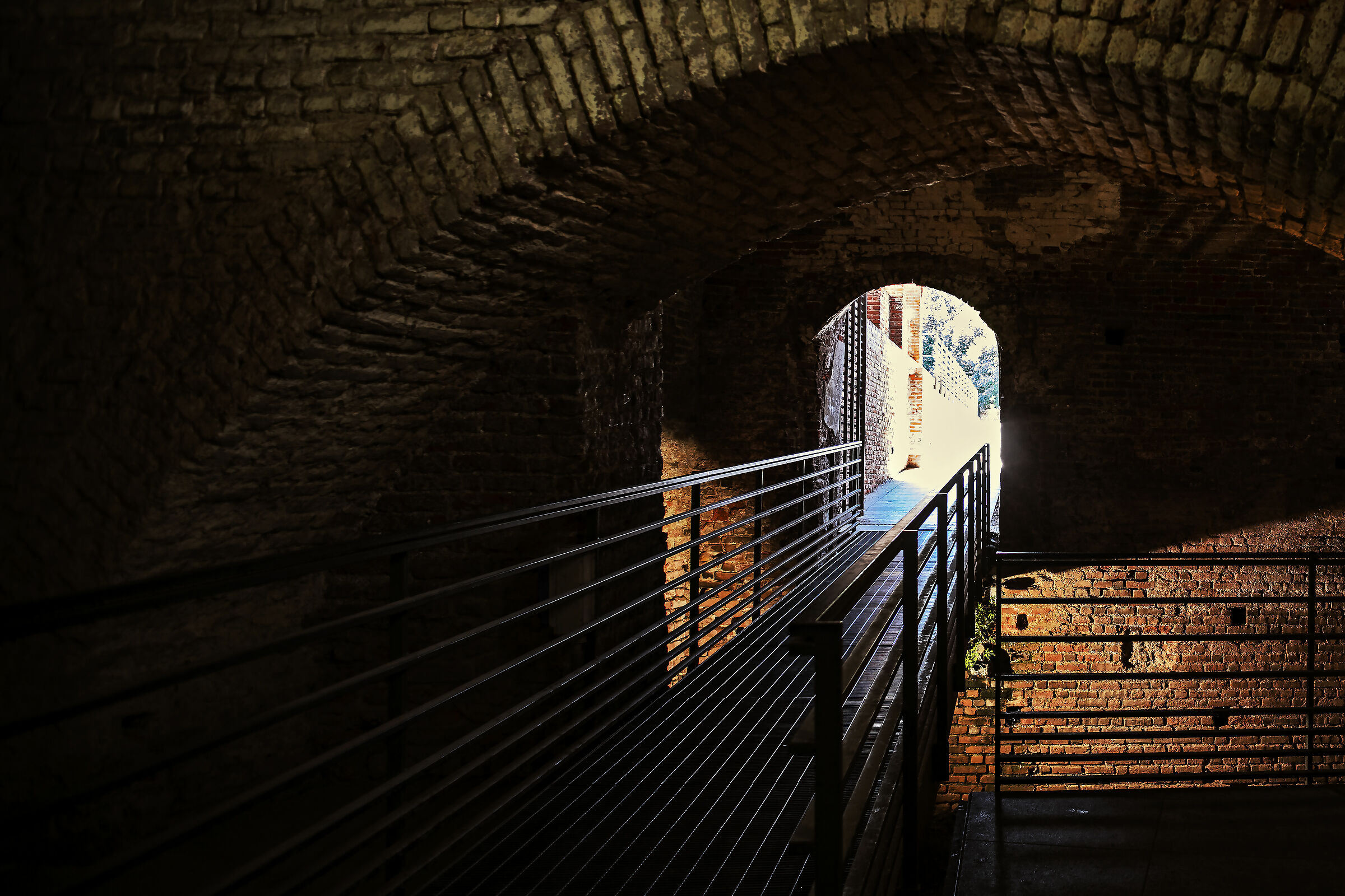 We who have seen the light