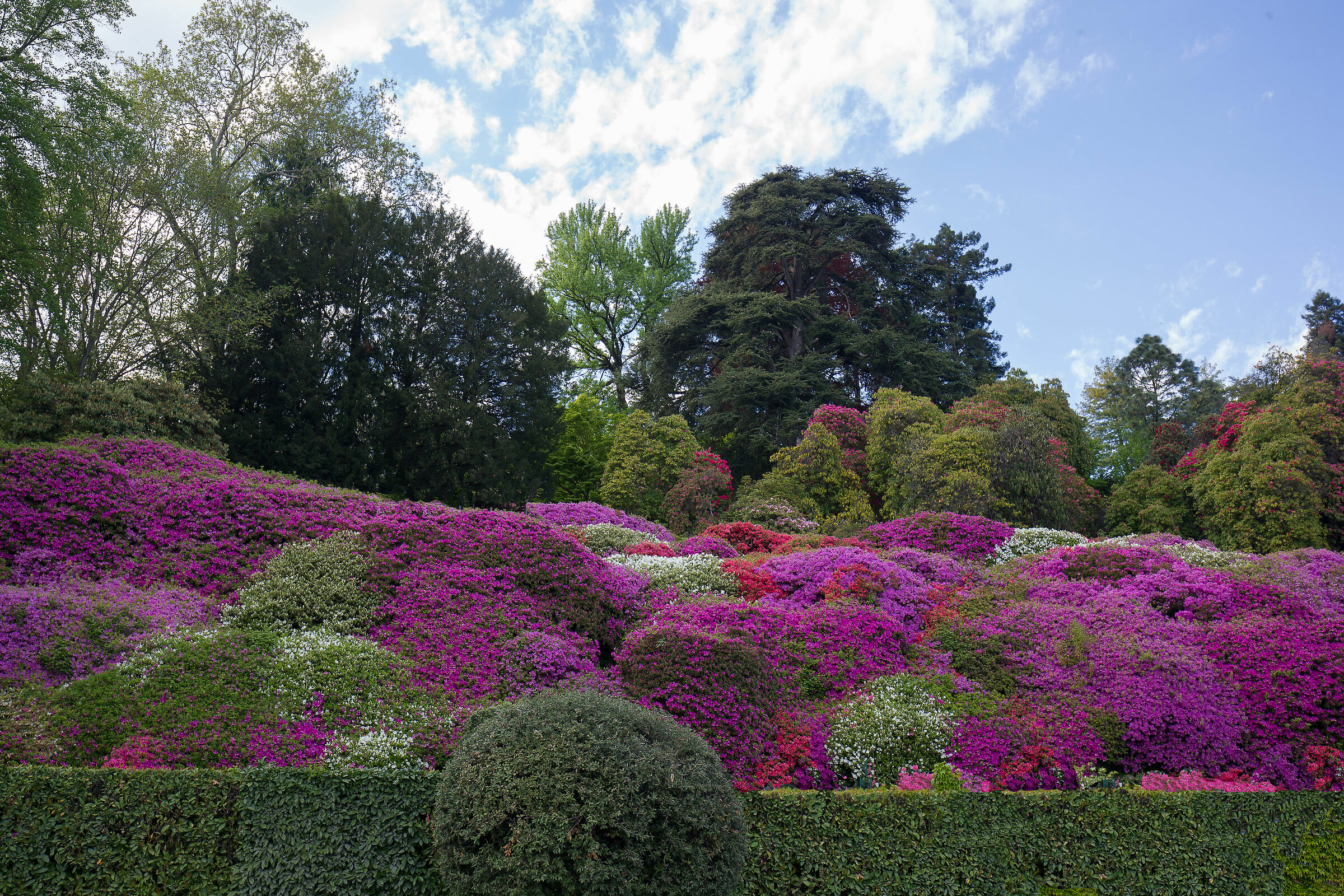 Tremezzo-Near Villa Carlotta