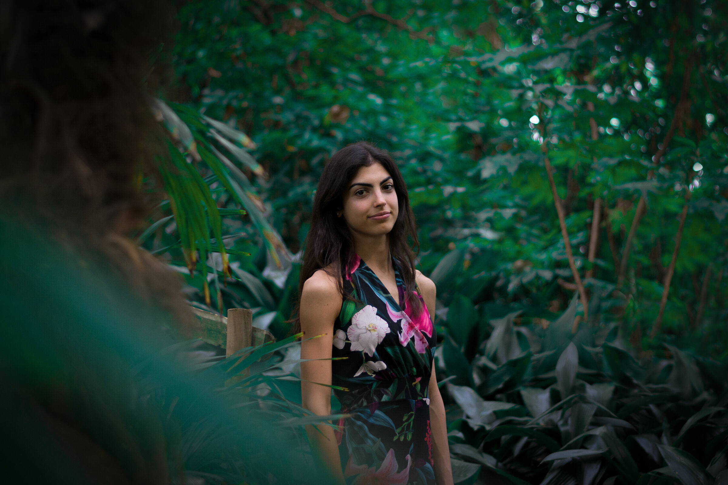 Are you in the forest of your dreams?