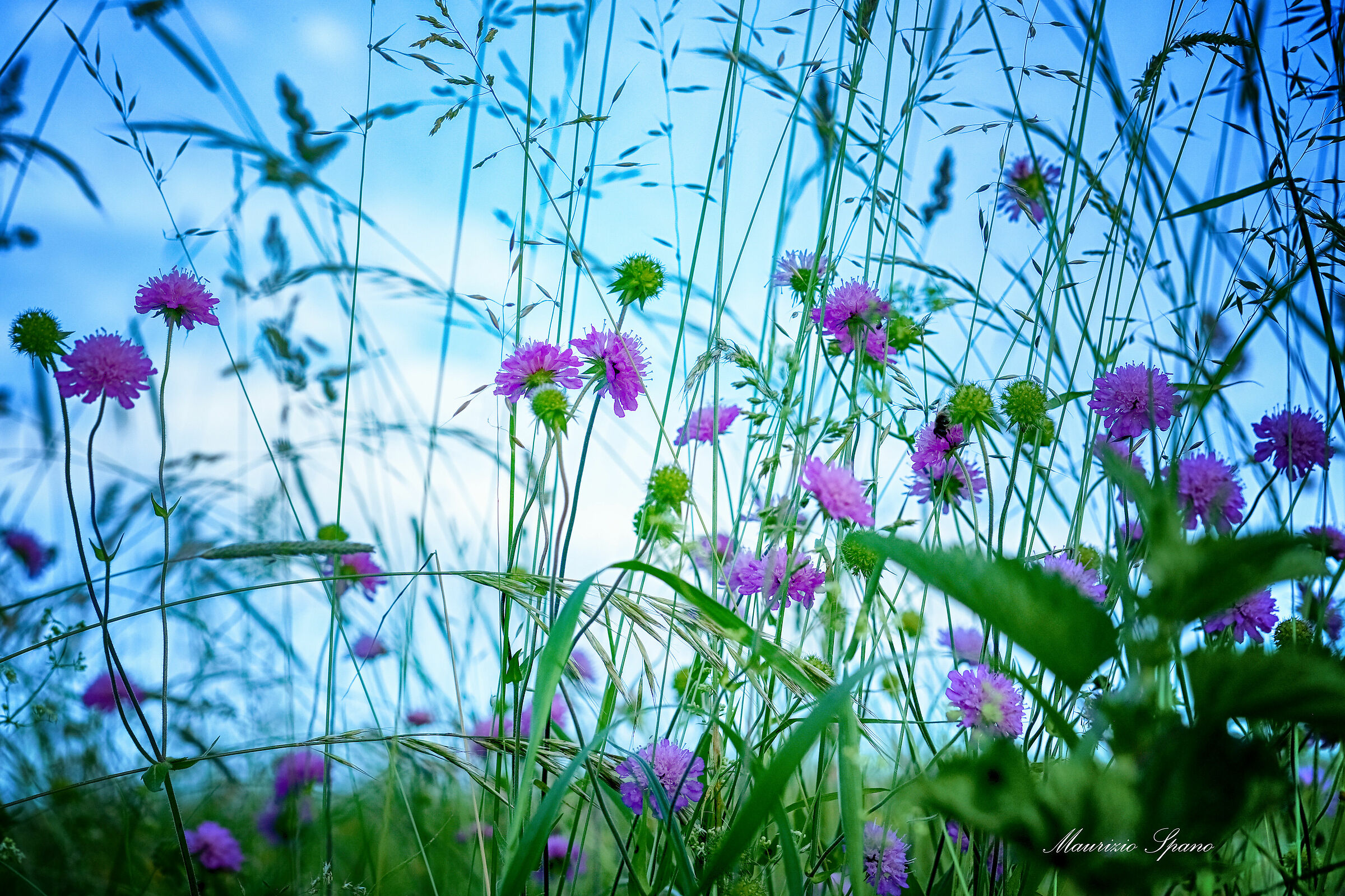 Little colorful world...