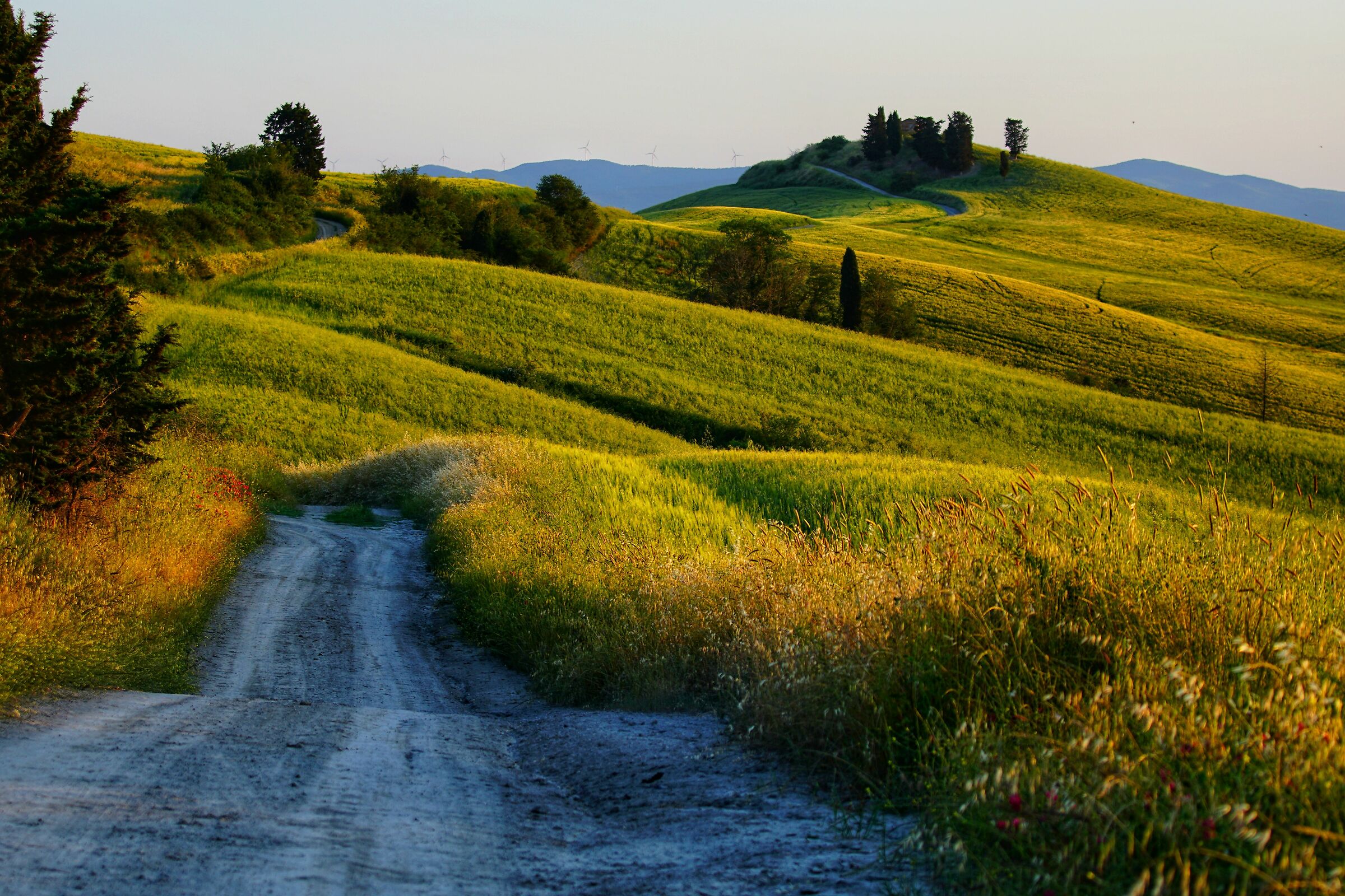 Ghizzano, Peccioli, Pisa