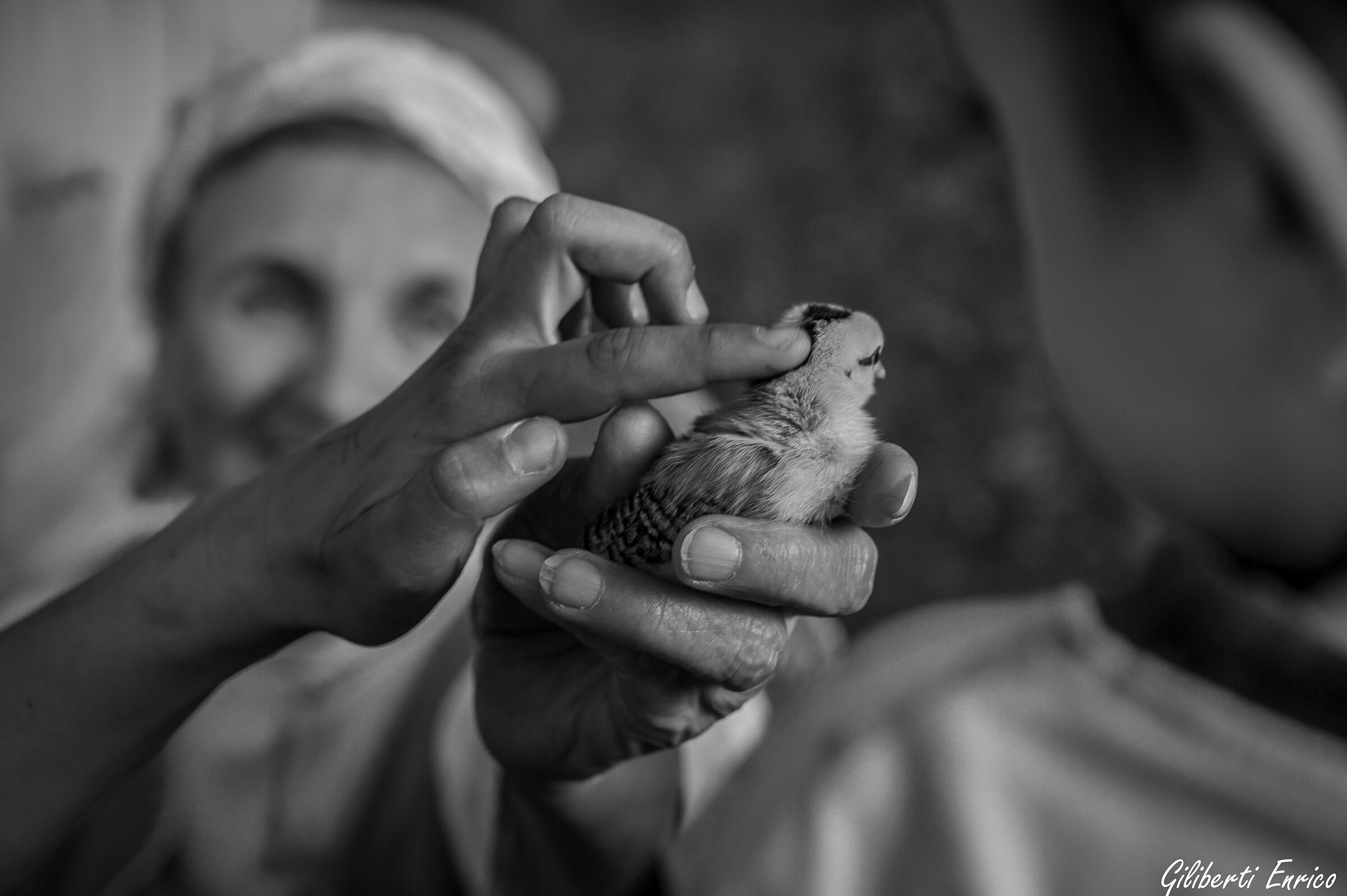 Accarezzalo pure Piccolo!!