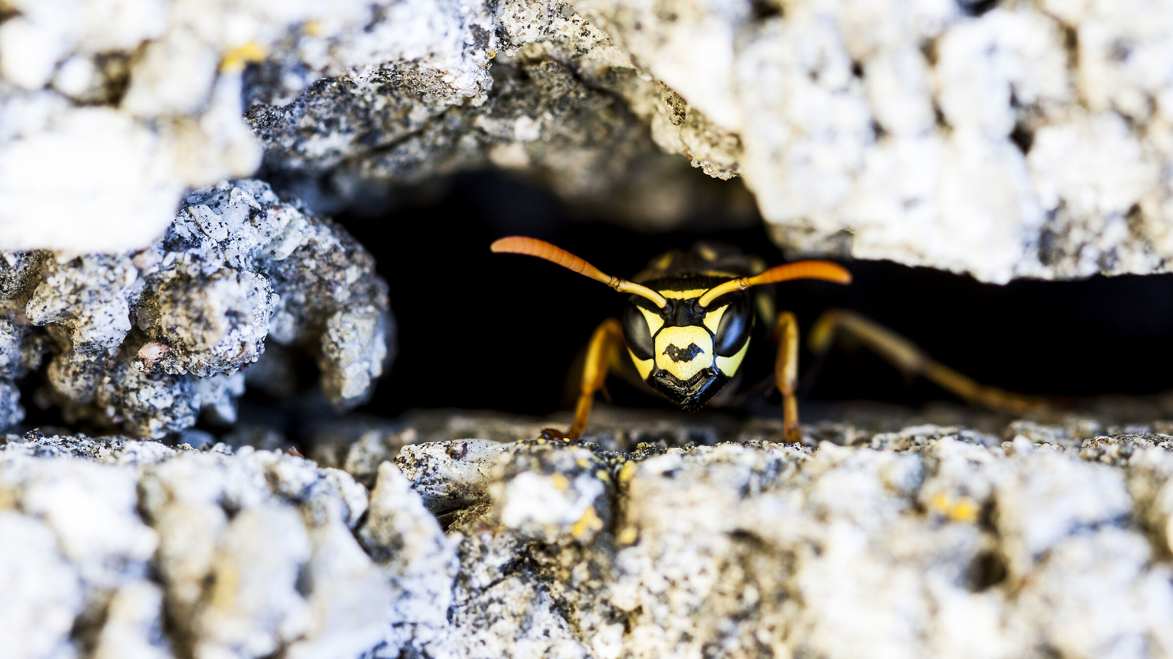 Da qui non si passa!!!