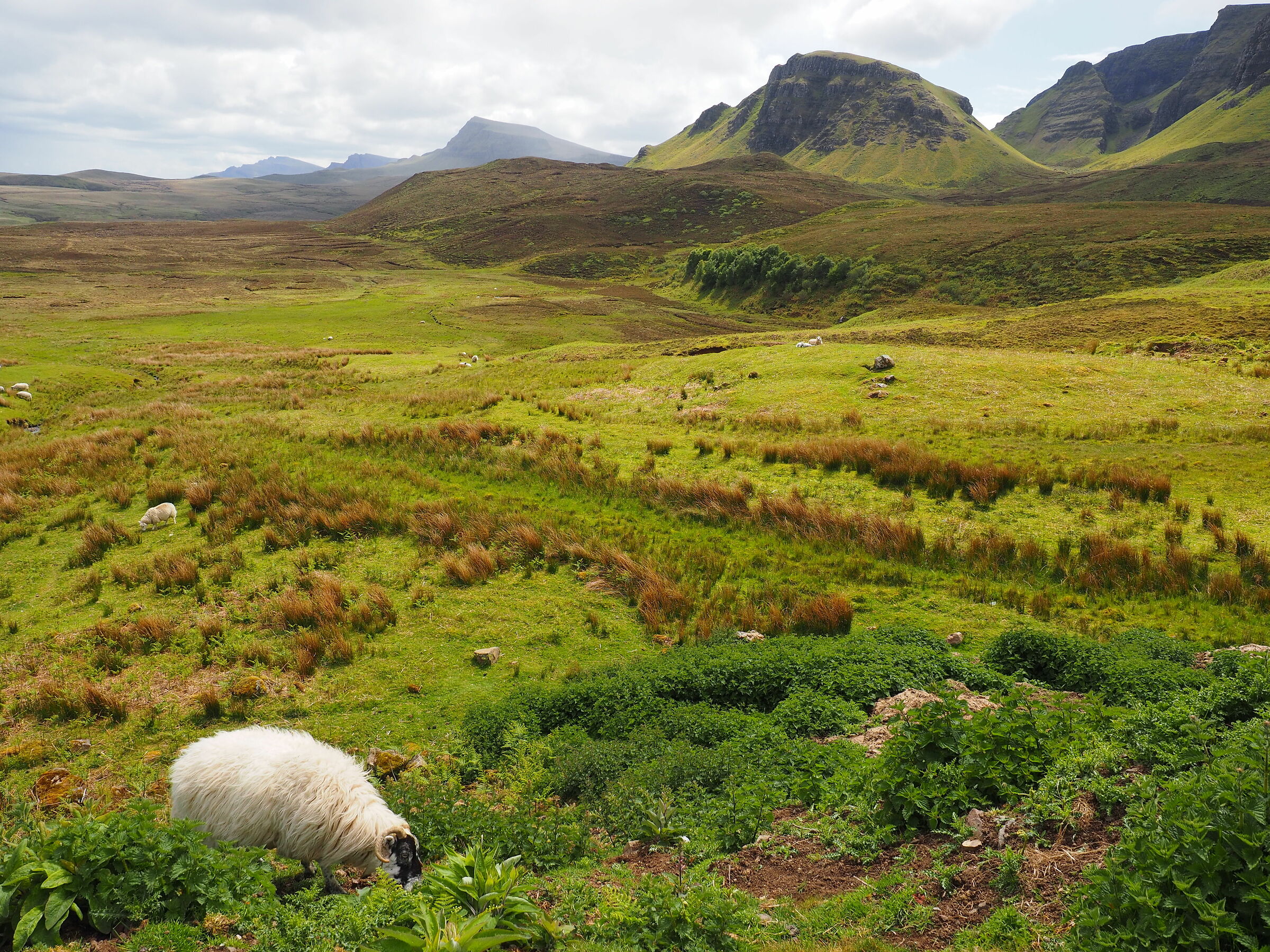 Quiraing, Isle of Skye