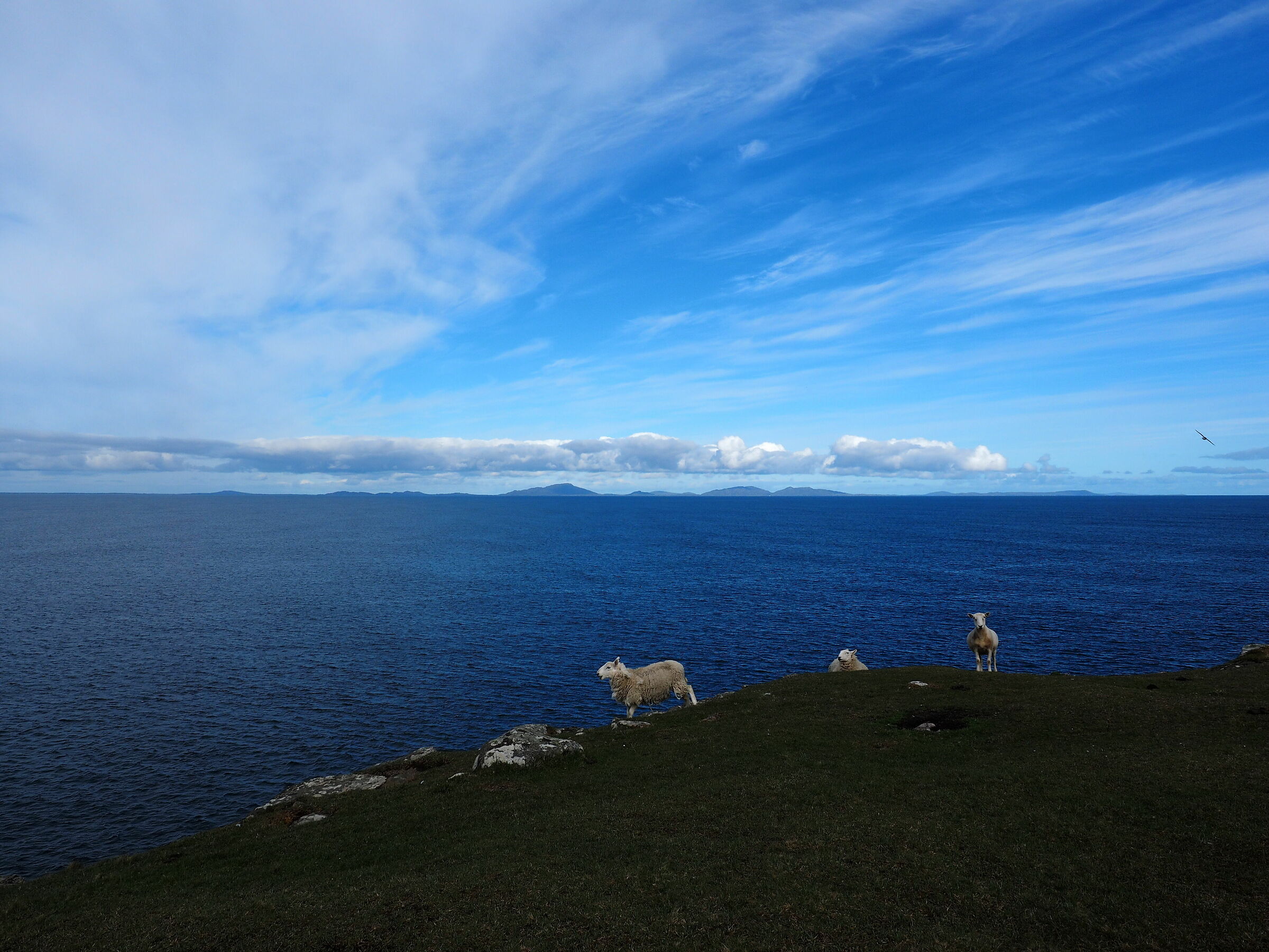 Running free, Isle of Skye, Scotland
