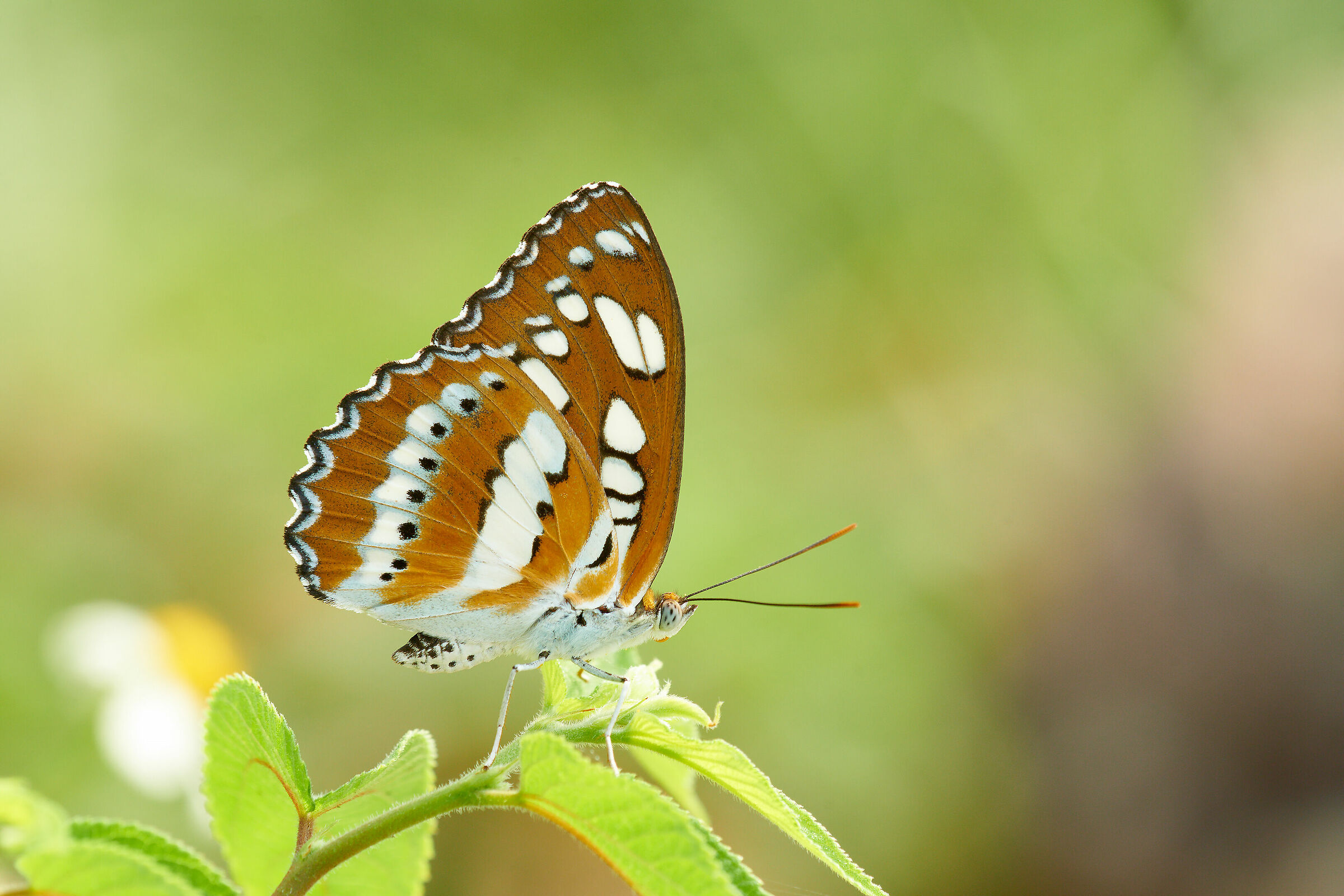 Prenditi un po' di riposo