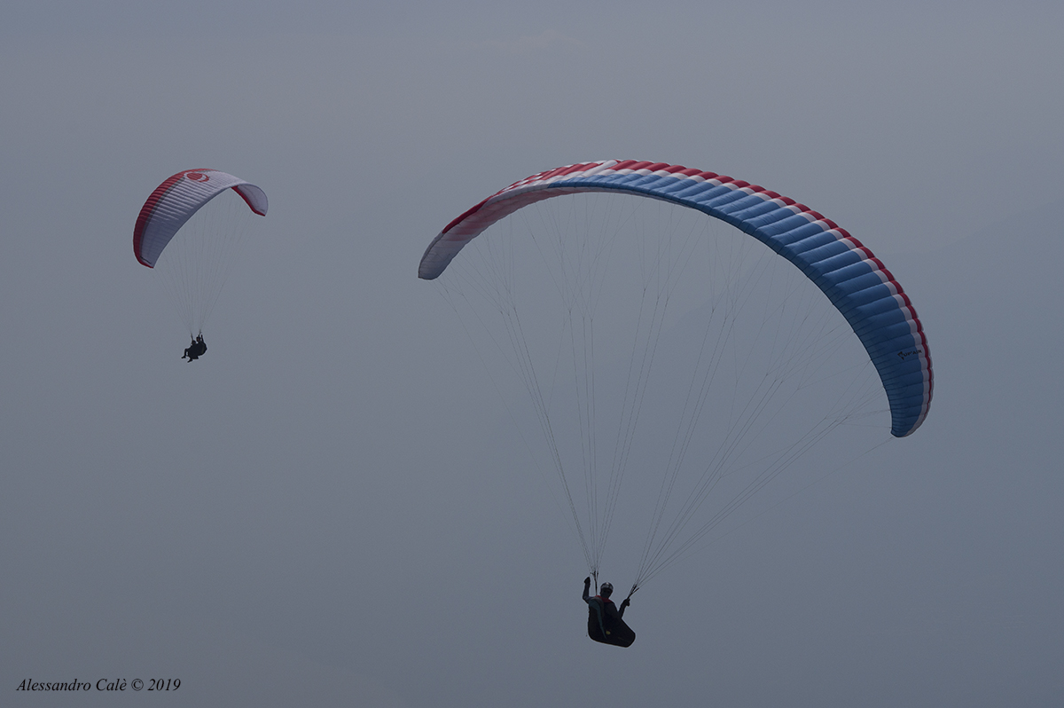 Veleggiando nel cielo 1207