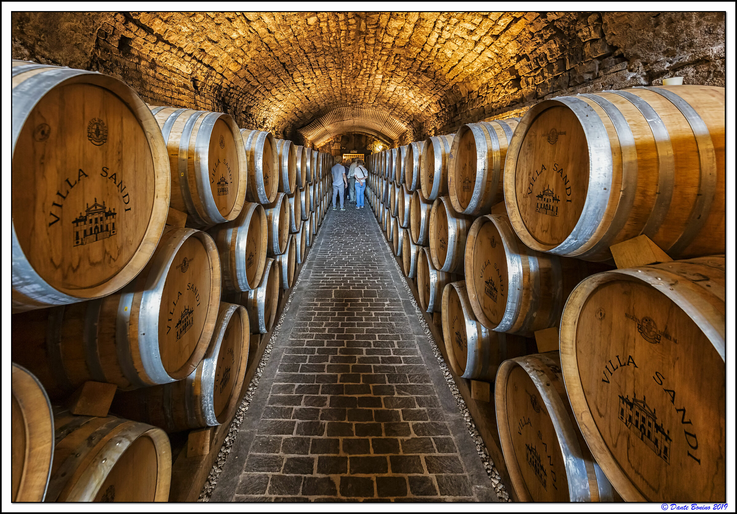 Le cantine di Villa Sandi