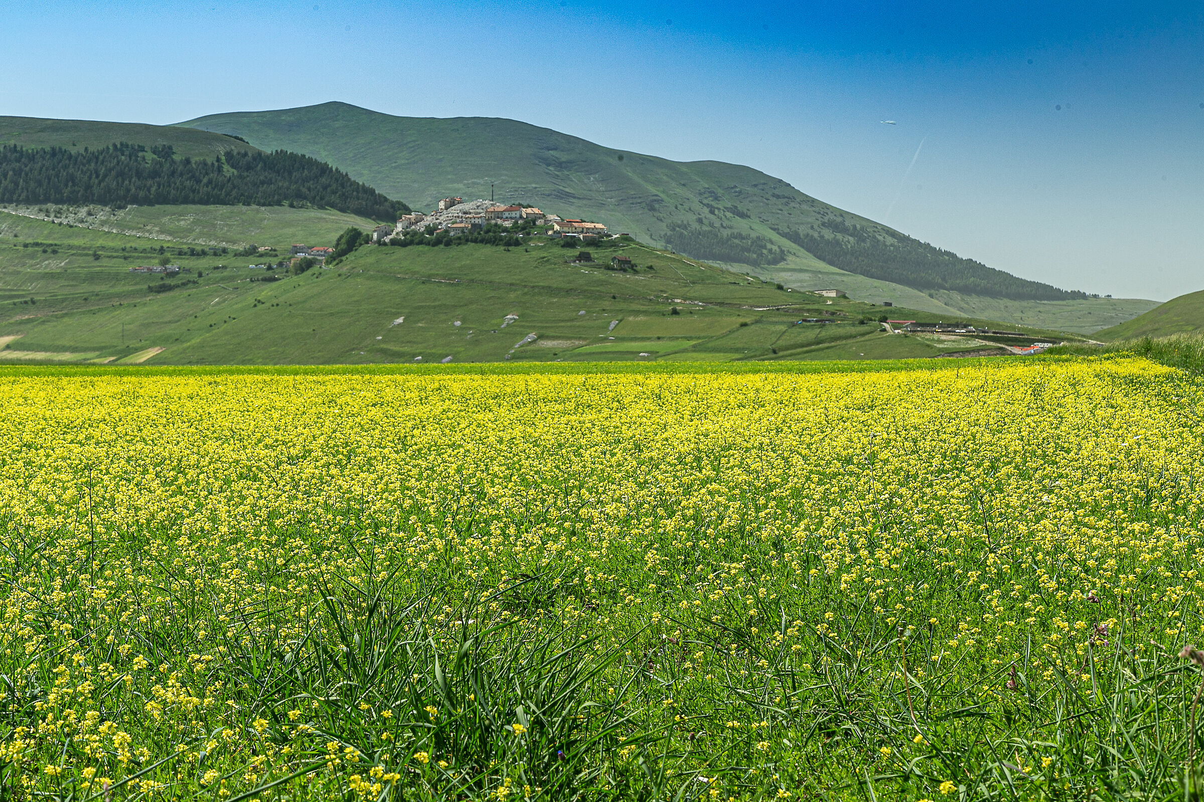Castelluccio 1