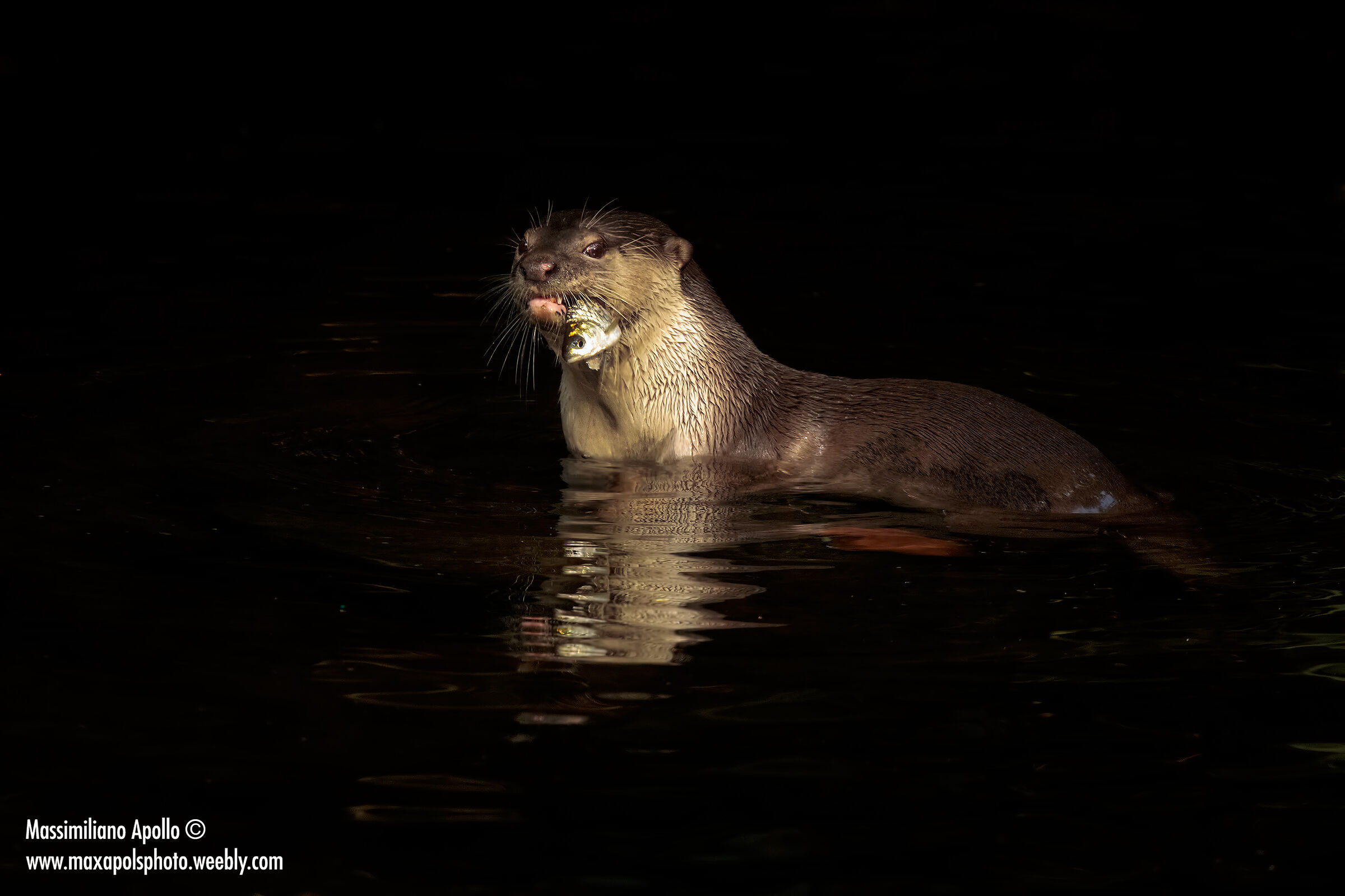 nel testa a testa vinco io..