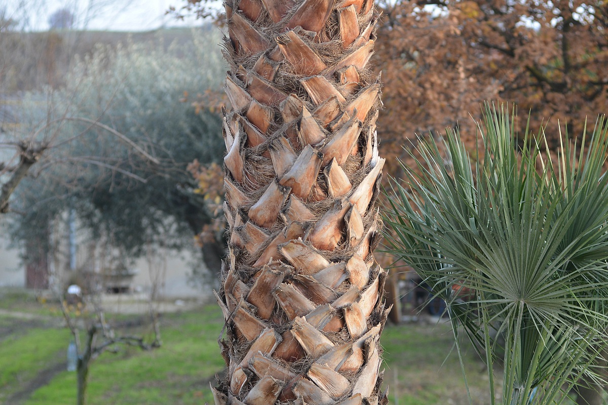 scatto con d800 nikon formato dx