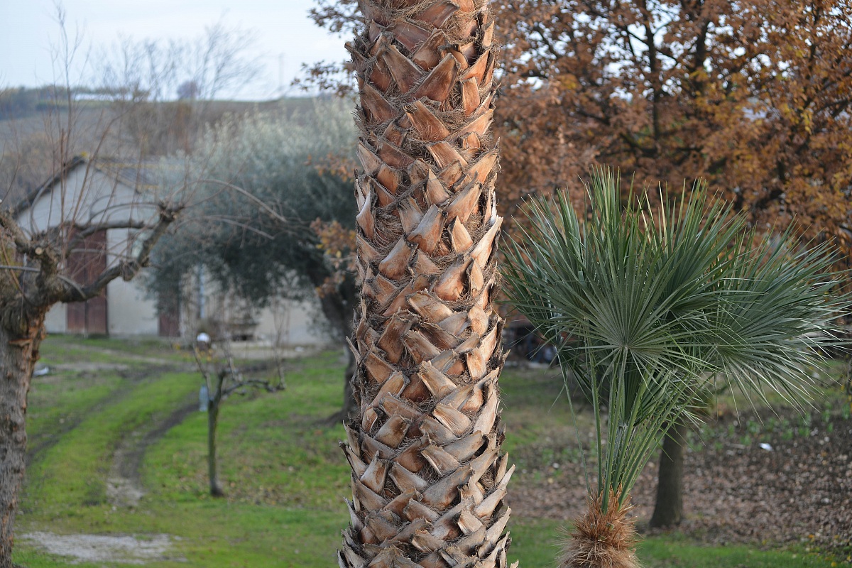 scatto d800 nikon formato fx