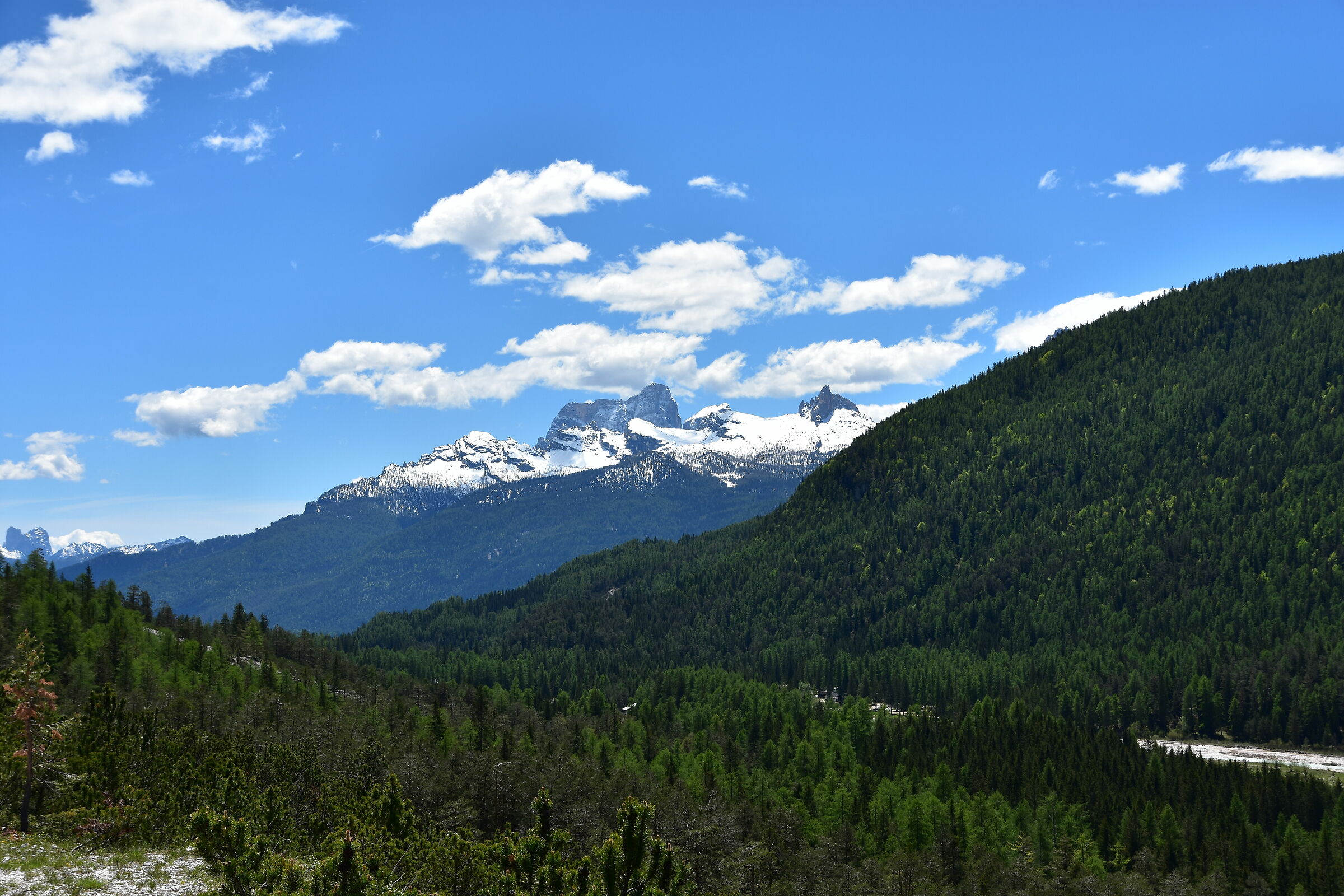 The colors of Cortina