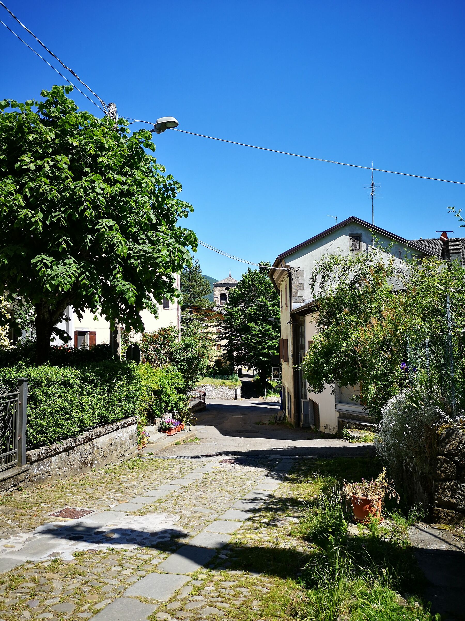 Una giornata a S. Andrea Pelago 2