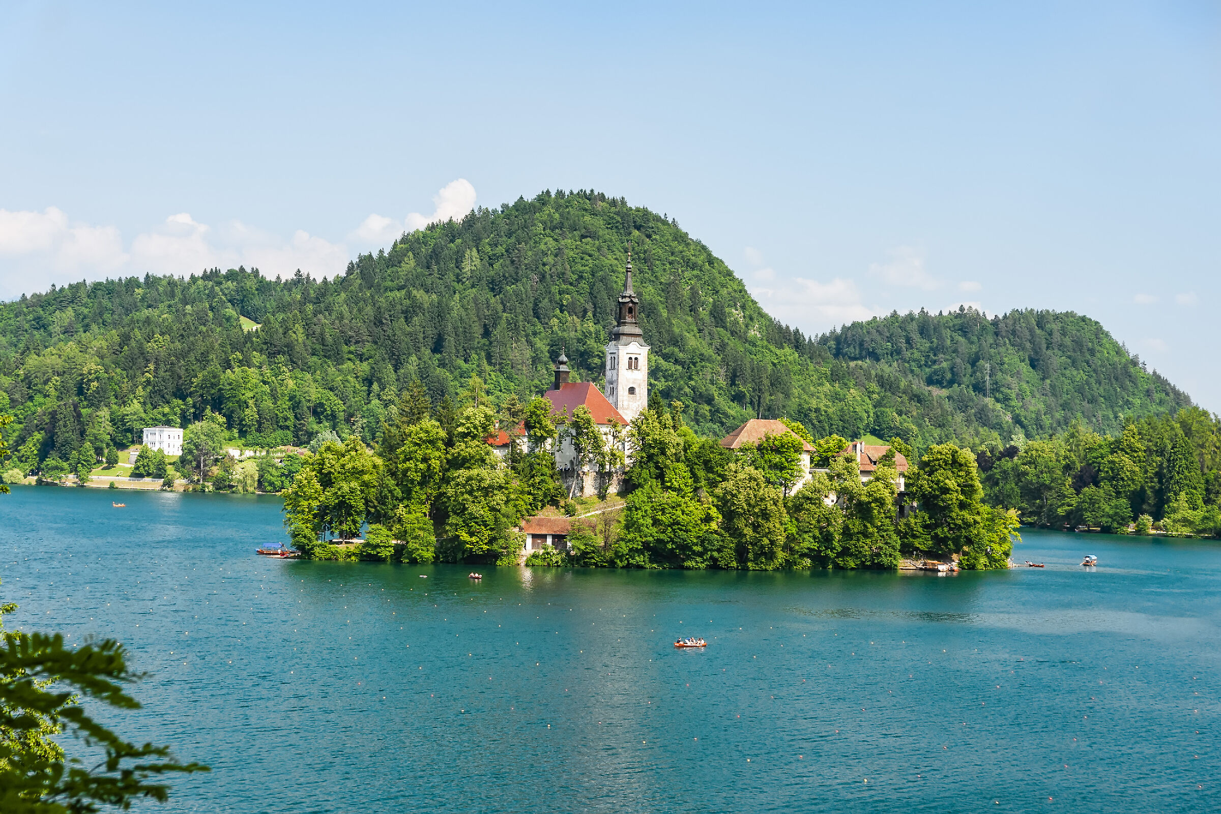 Lago di Bled Slovenia