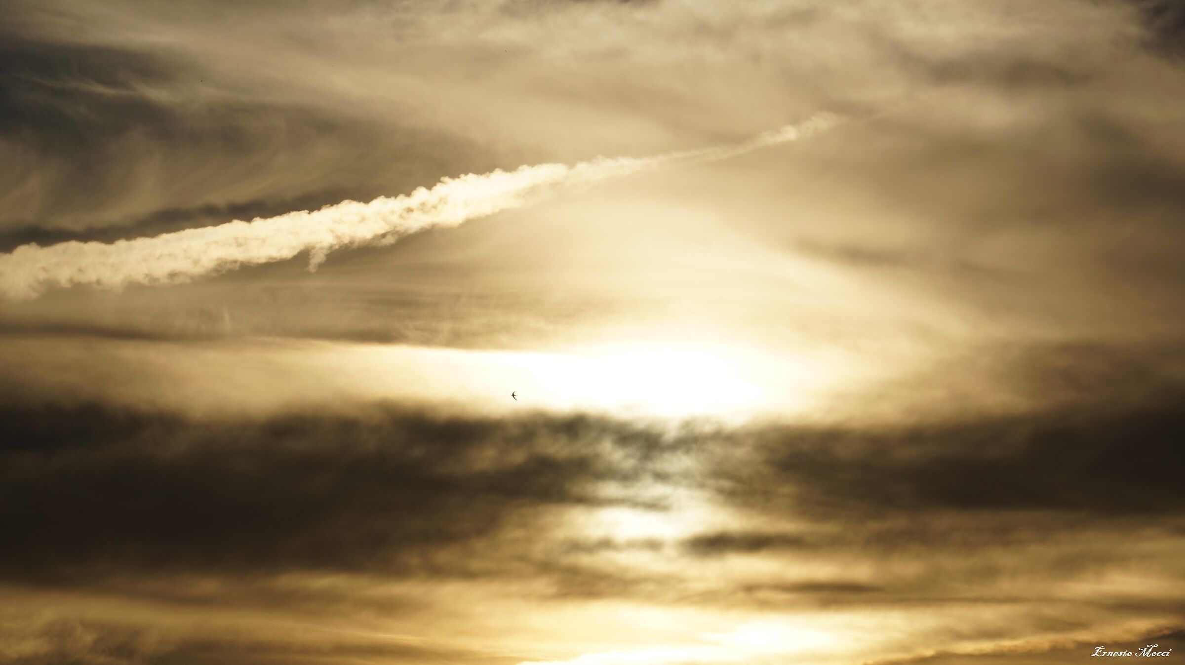 il Coraggio di Una Vita, nella Mente Offuscata ........