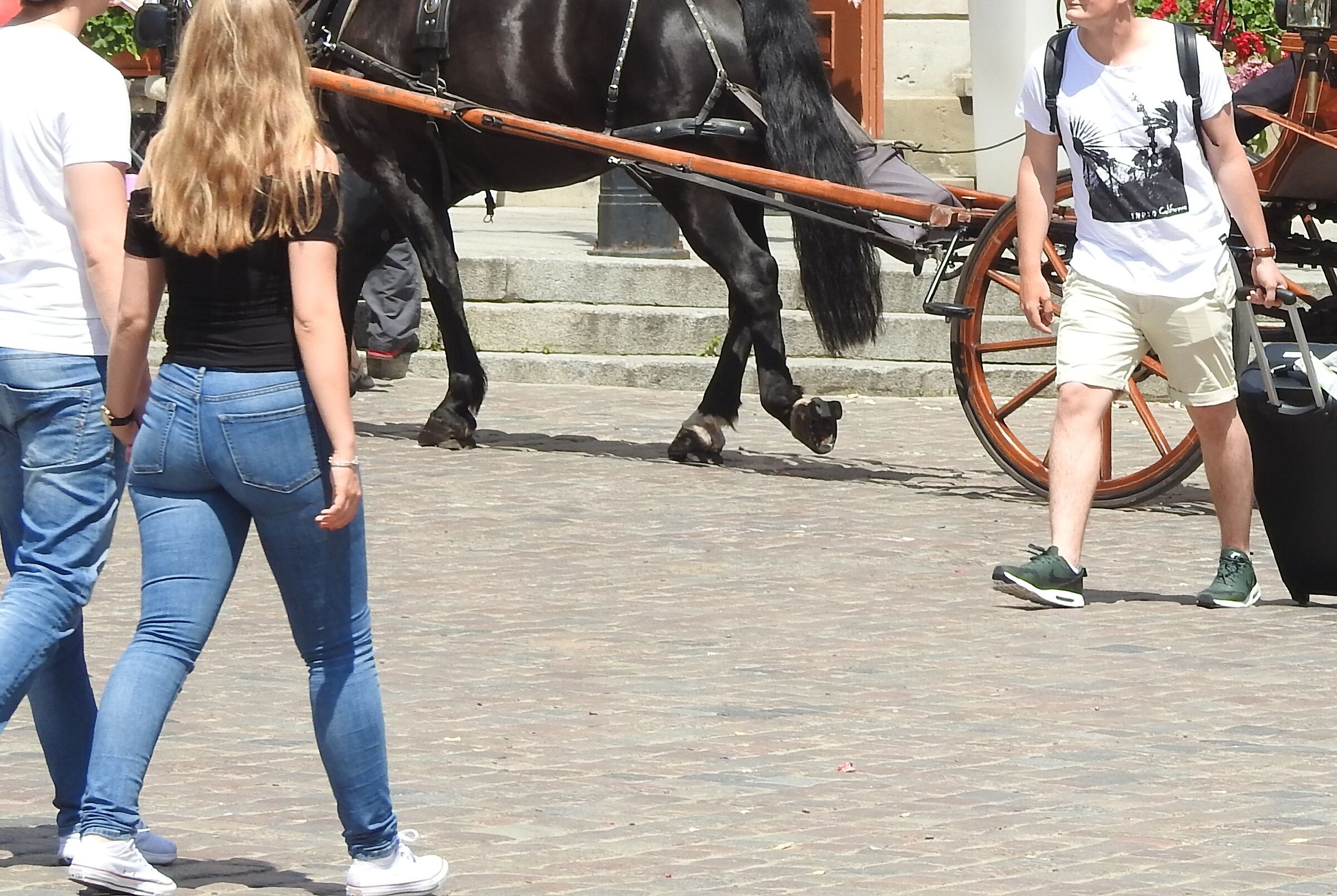 Varsavia strada/gambe