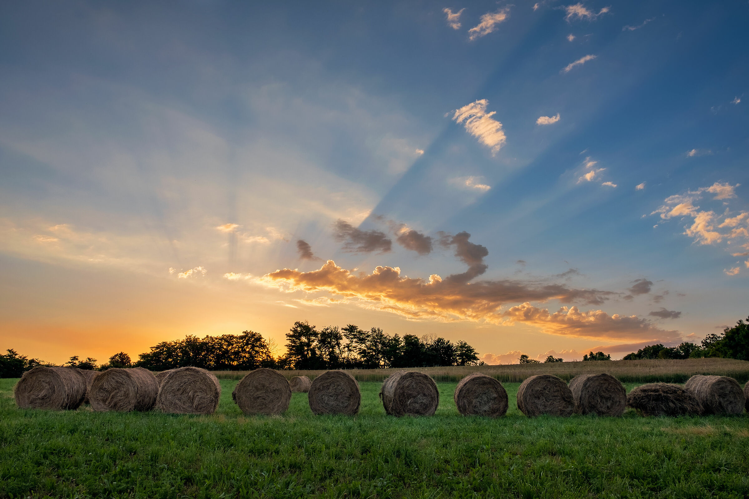 Bales at sunset