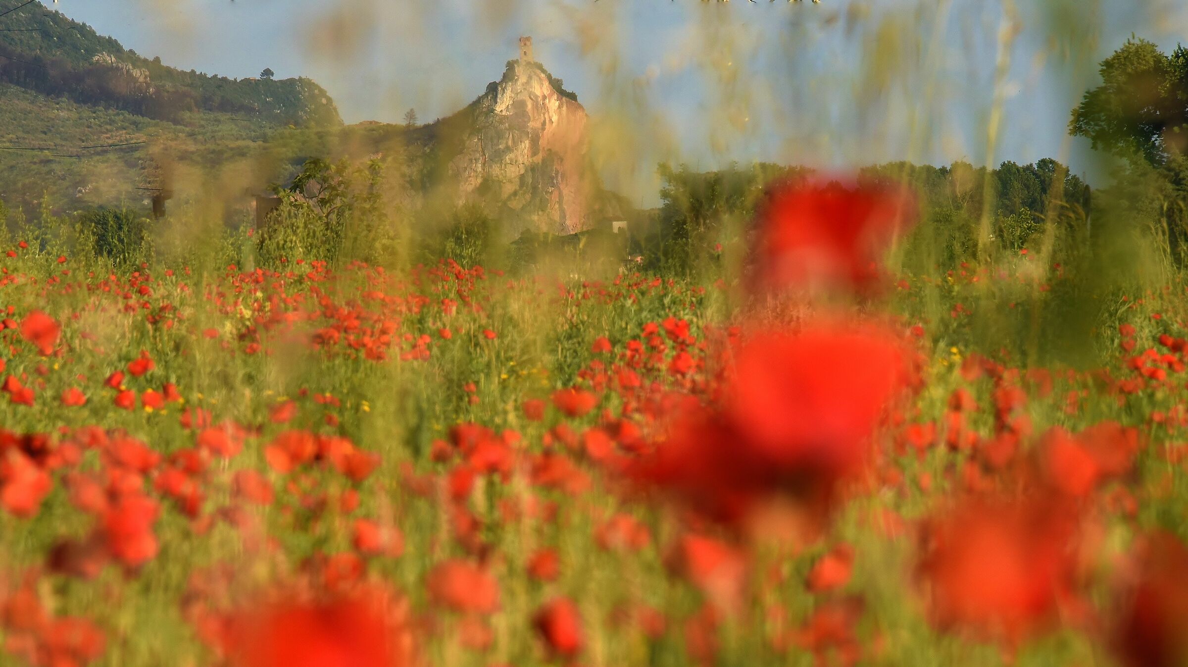 Torre di Caprona  (imitazione olio su tela)