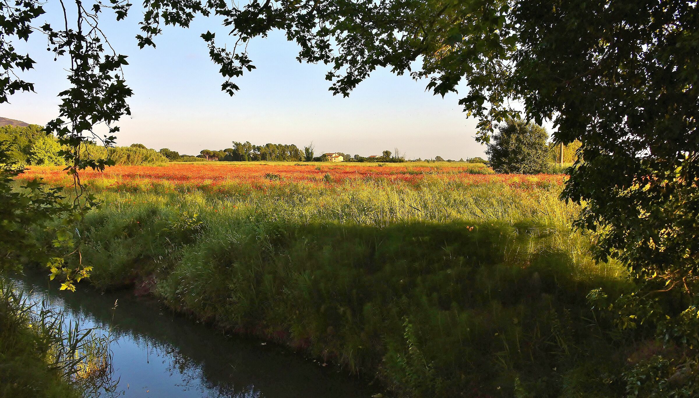 La guerra di Piero -omaggio a Fabrizio de Andrè-