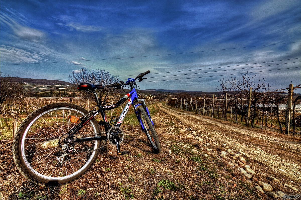 Due ruote e tanta voglia di liberta