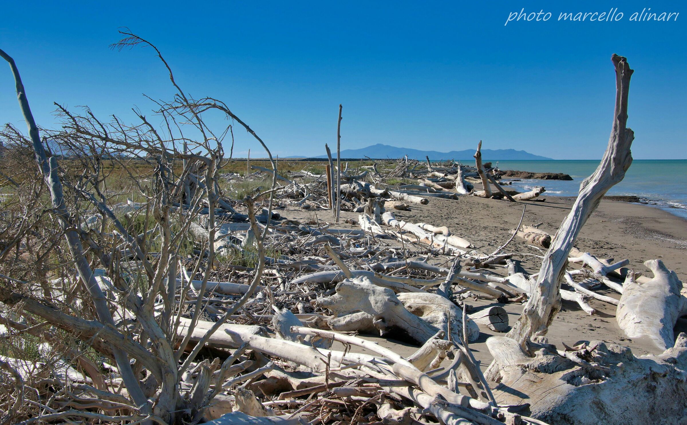 A nord di bocca d'ombrone